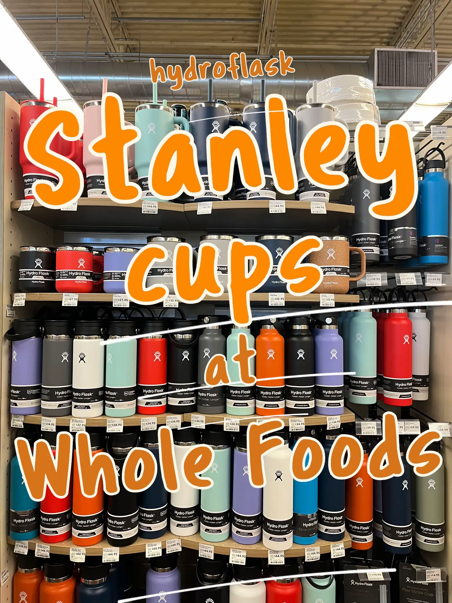 Goodbye HydroFlasks, Stanley Cups are Taking Over — A-Line Magazine