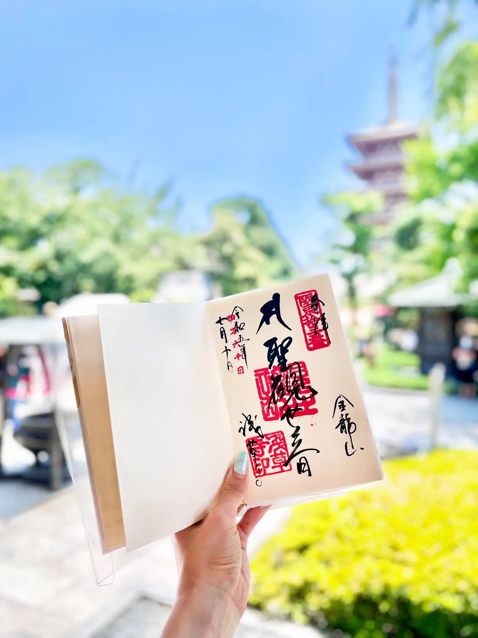 浅草】浅草寺夏の風物詩🎐一生分の功徳が得られる縁日！ほおずき市