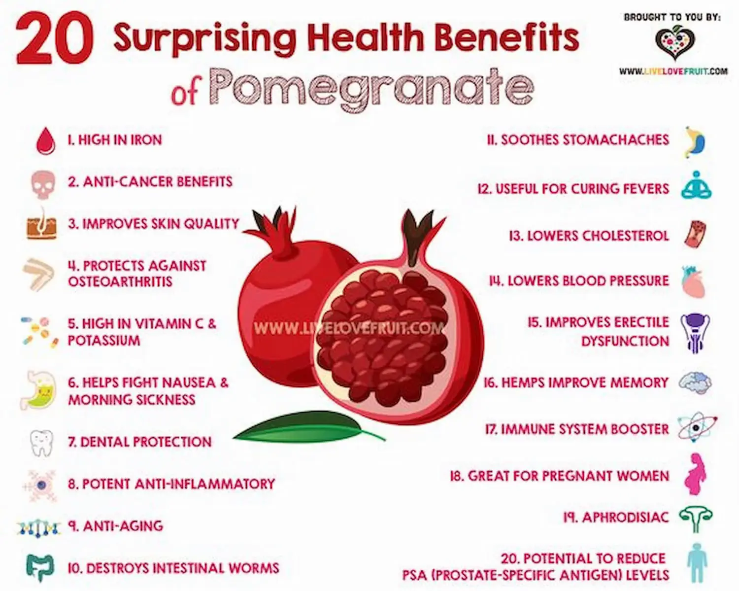 Pomegranate Juice Benefits Lemon8 Search