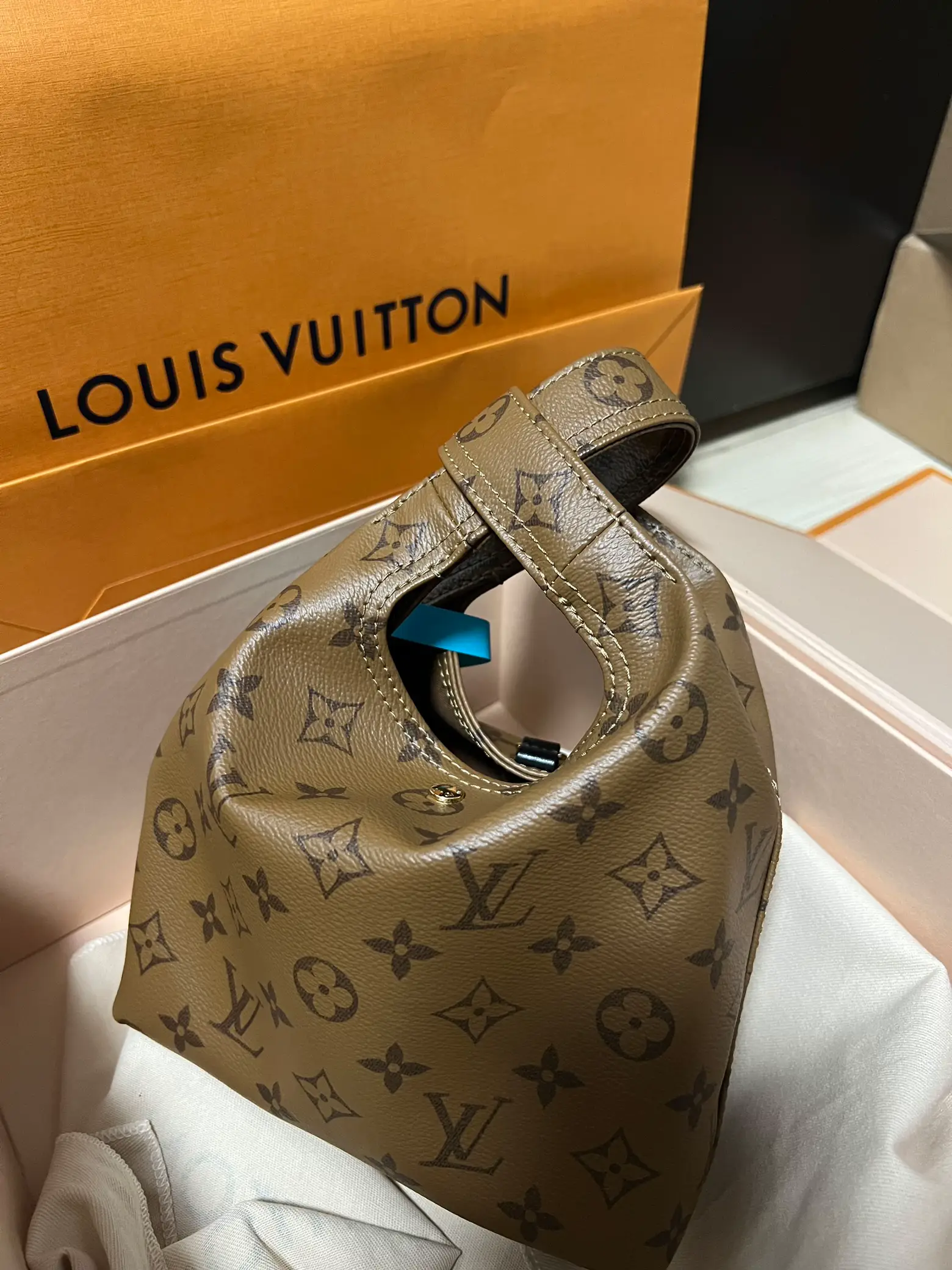 Louis Vuitton Atlantis Bag