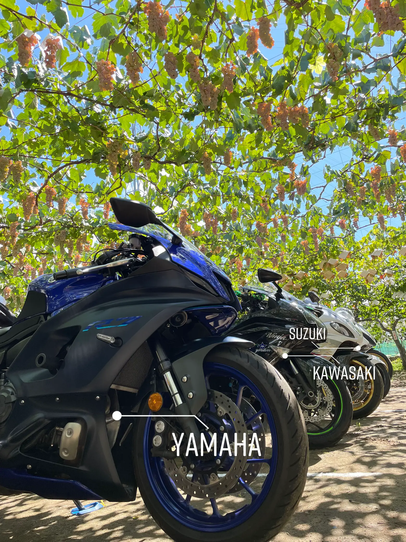 Yamaha R7 - Lemon8検索