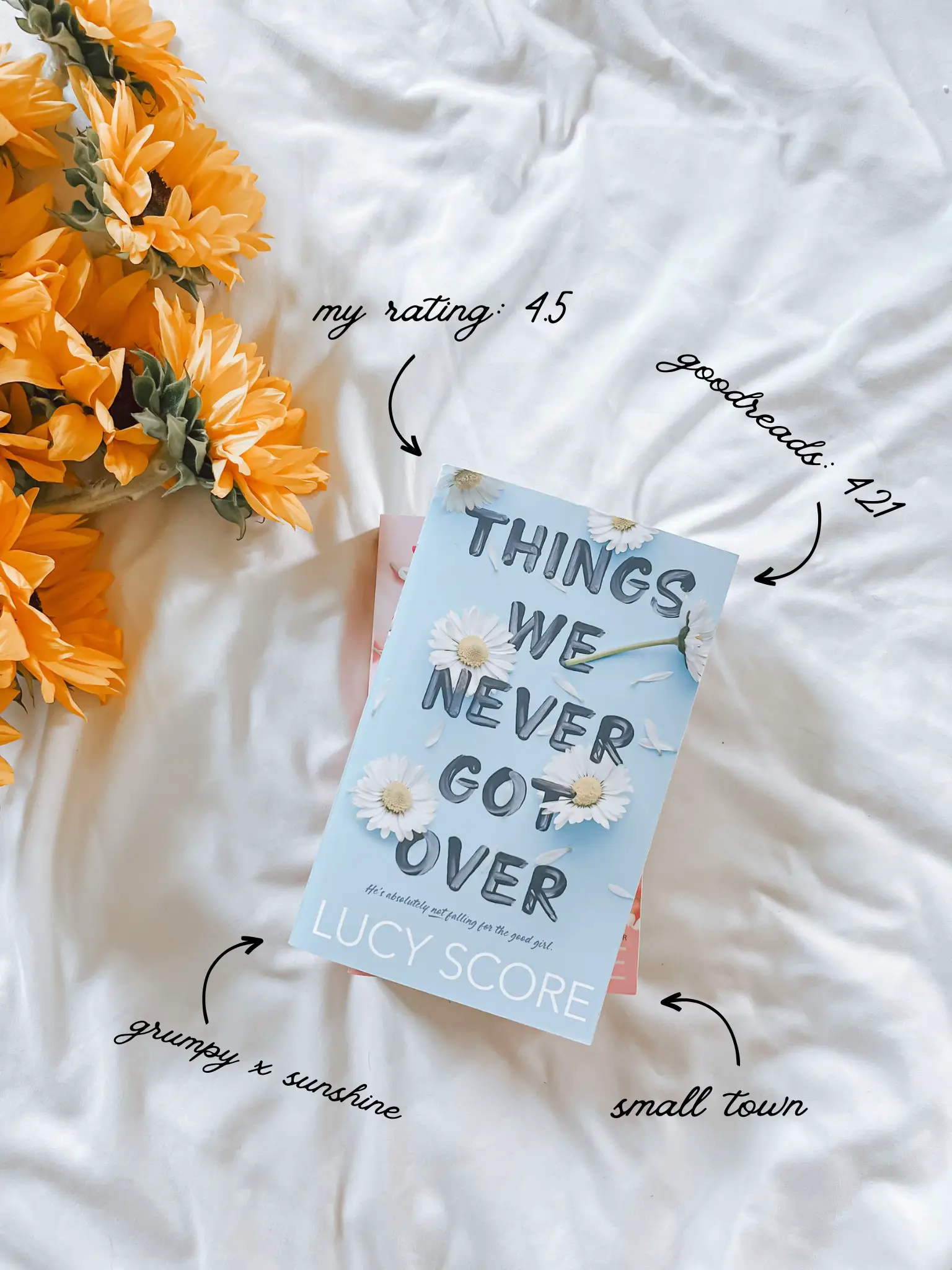 10 Books Like Things We Never Got Over by Lucy Score (Small-Town Grumpy  Sunshine) - What to Read Next