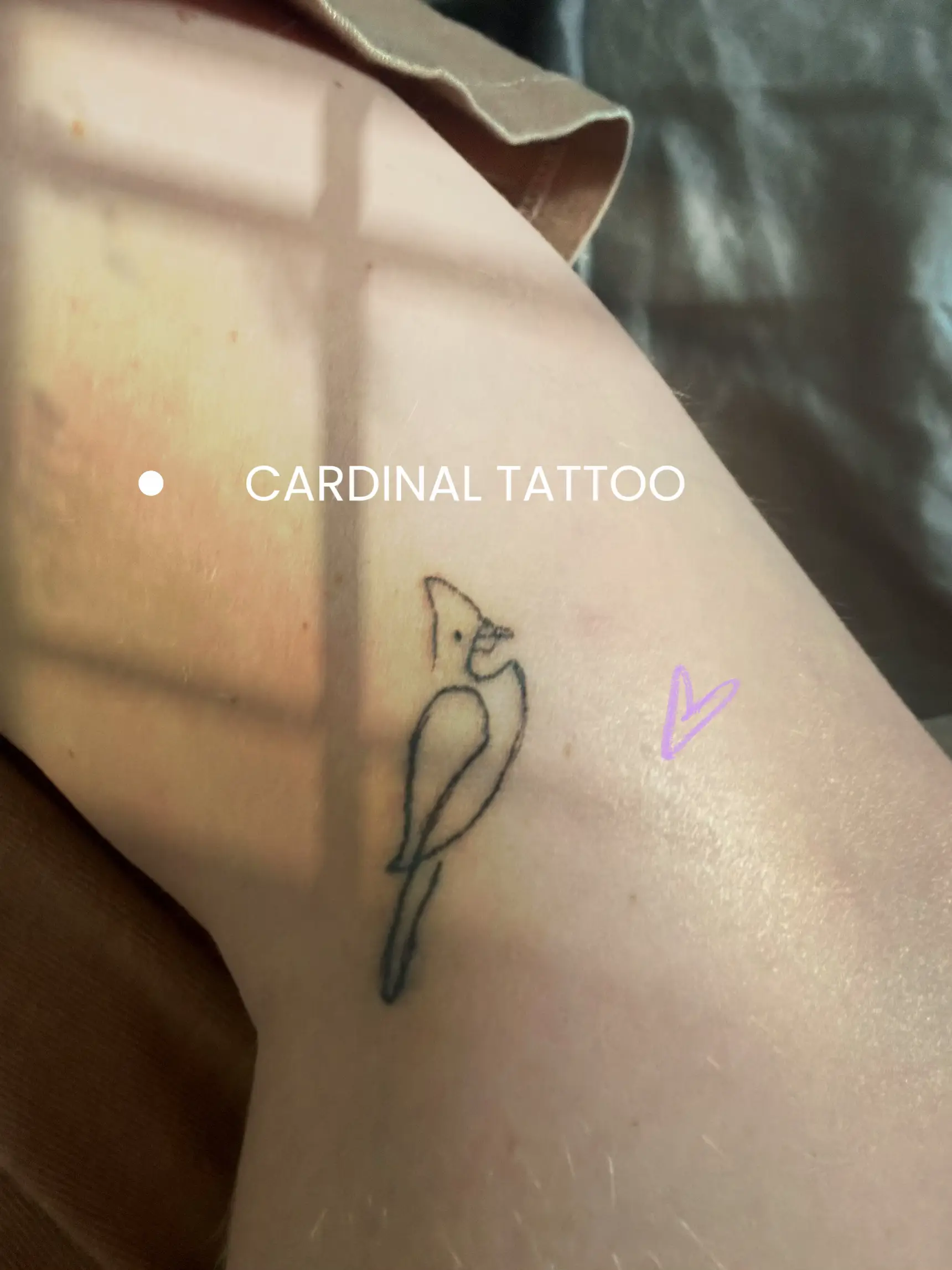 Only Good Tattoos  Tattoos, Cardinal tattoos, Half sleeve tattoo
