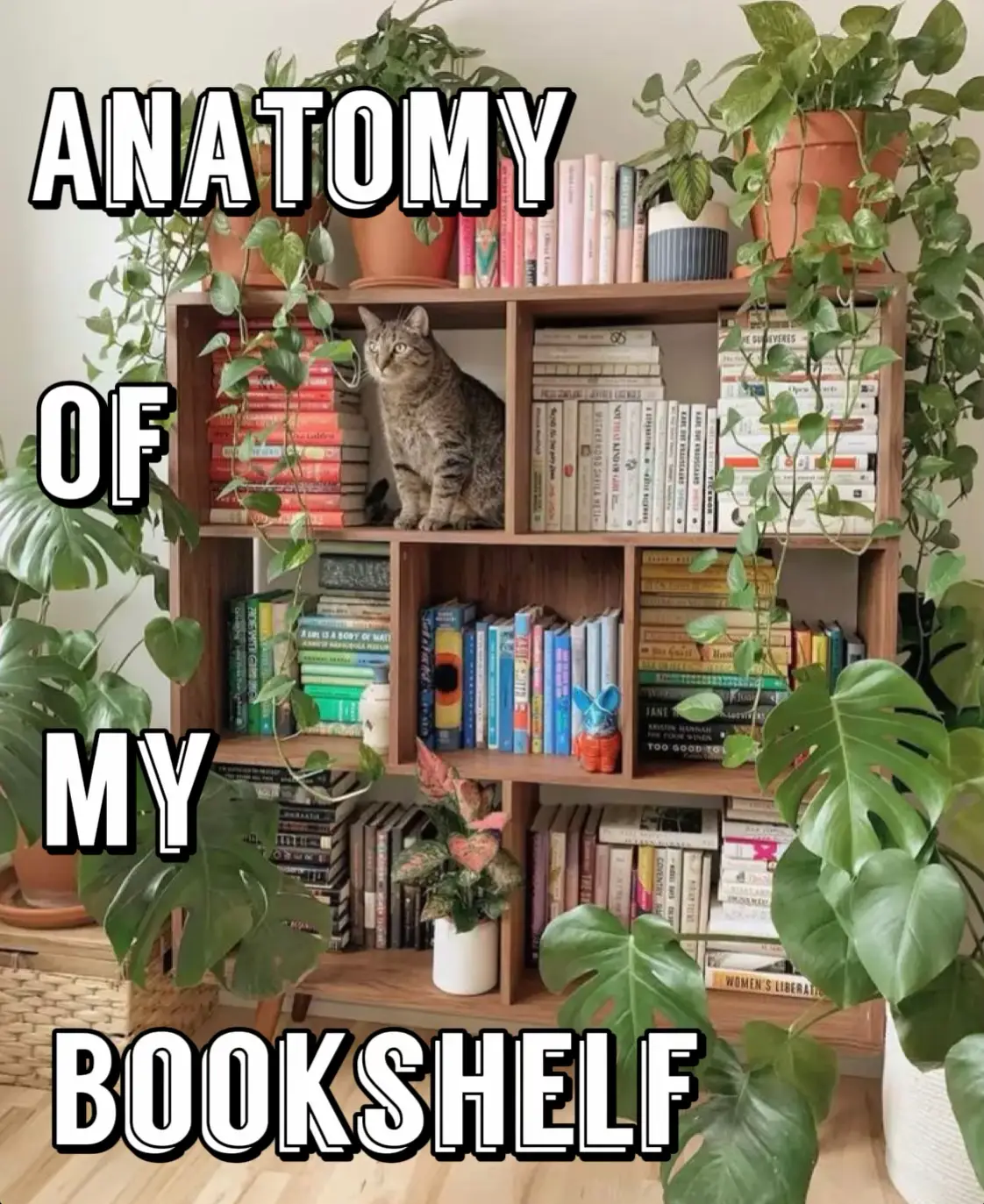 Anatomy Of My Bookshelf | Gallery posted by Rebecca 💛 | Lemon8