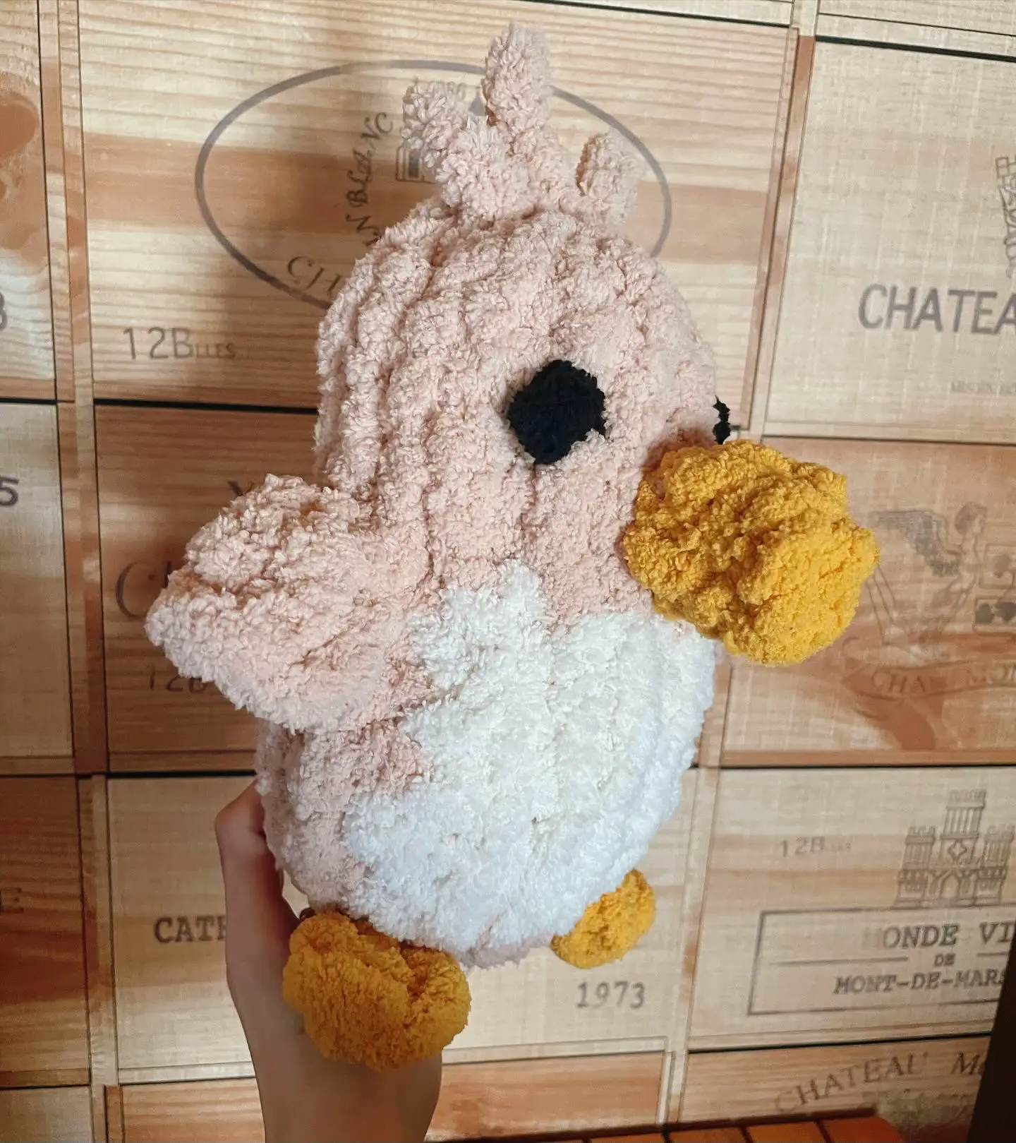 指編みで作るかわいいカモちゃん🦆 | katyfarm🐿️が投稿したフォトブック | Lemon8