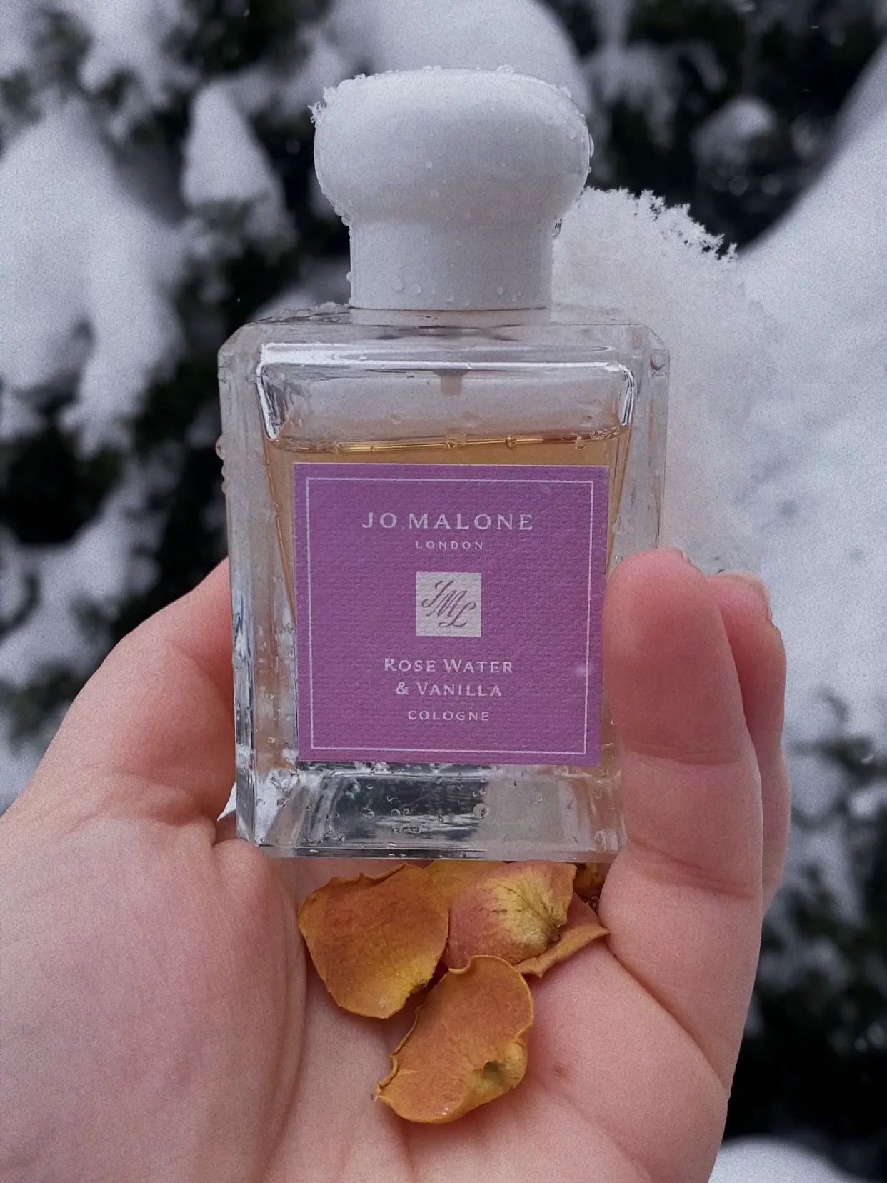 Jo malone vanilla online scent