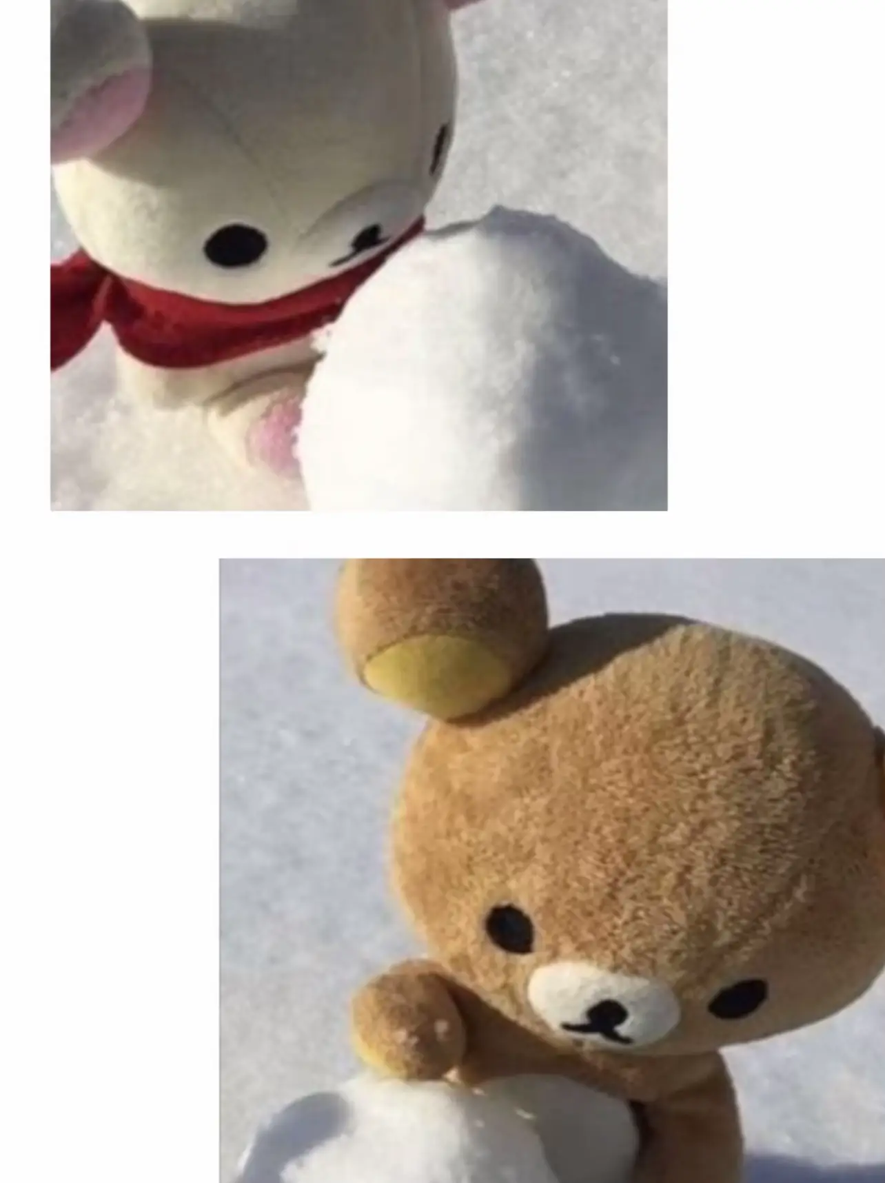 matching christmas pfp