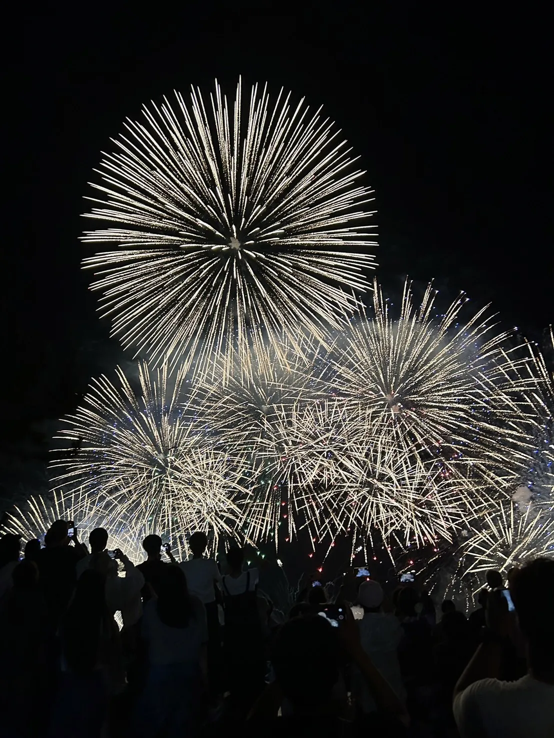 赤川花火大会 2枚セット おしい