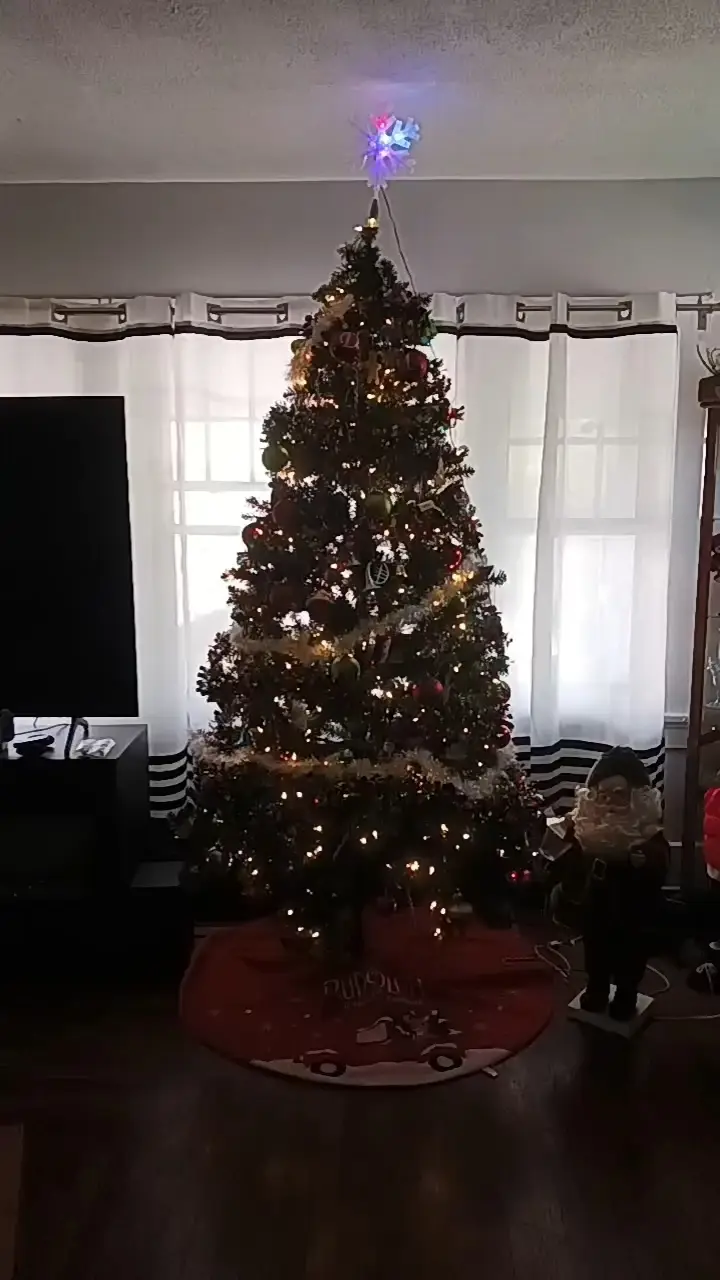 All ready for the Christmas Season! Video published by Michelle Lemon8