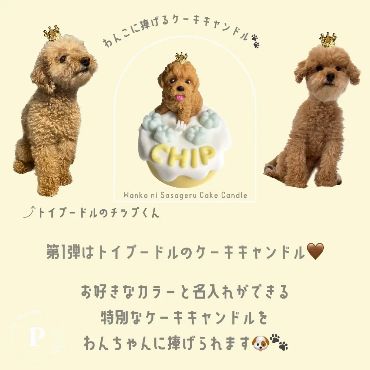 わんこに捧げるケーキキャンドル🐶🐾🎂 | ポムポッピンキャンドル🌸が投稿したフォトブック | Lemon8