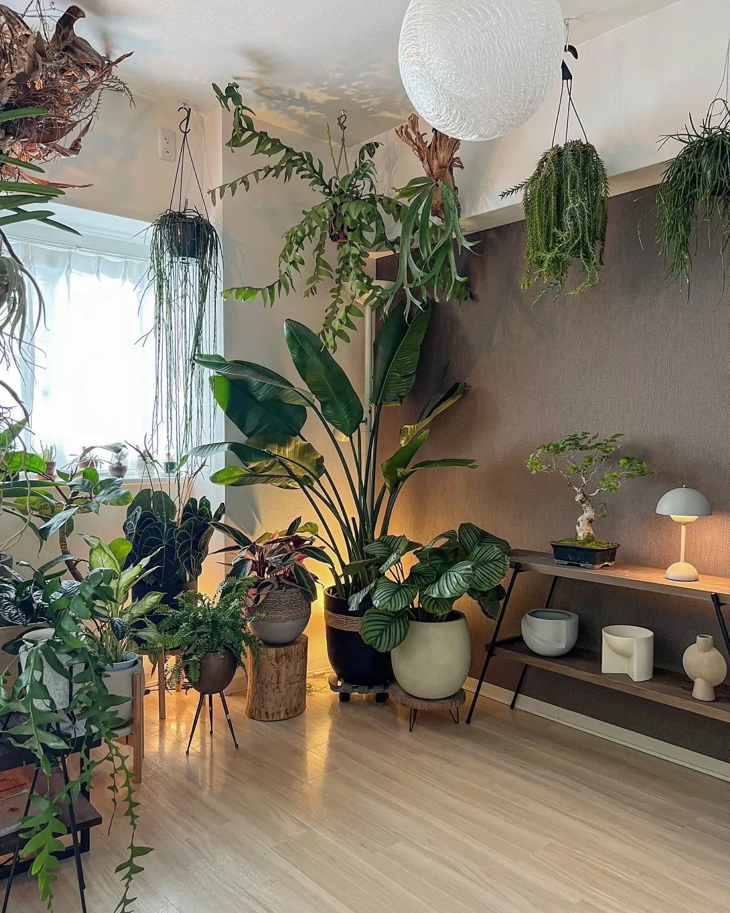 ジャングルルームに和と北欧デザインを組み合わせてみたら😙✨🌿 | planteria_roomが投稿したフォトブック | Lemon8