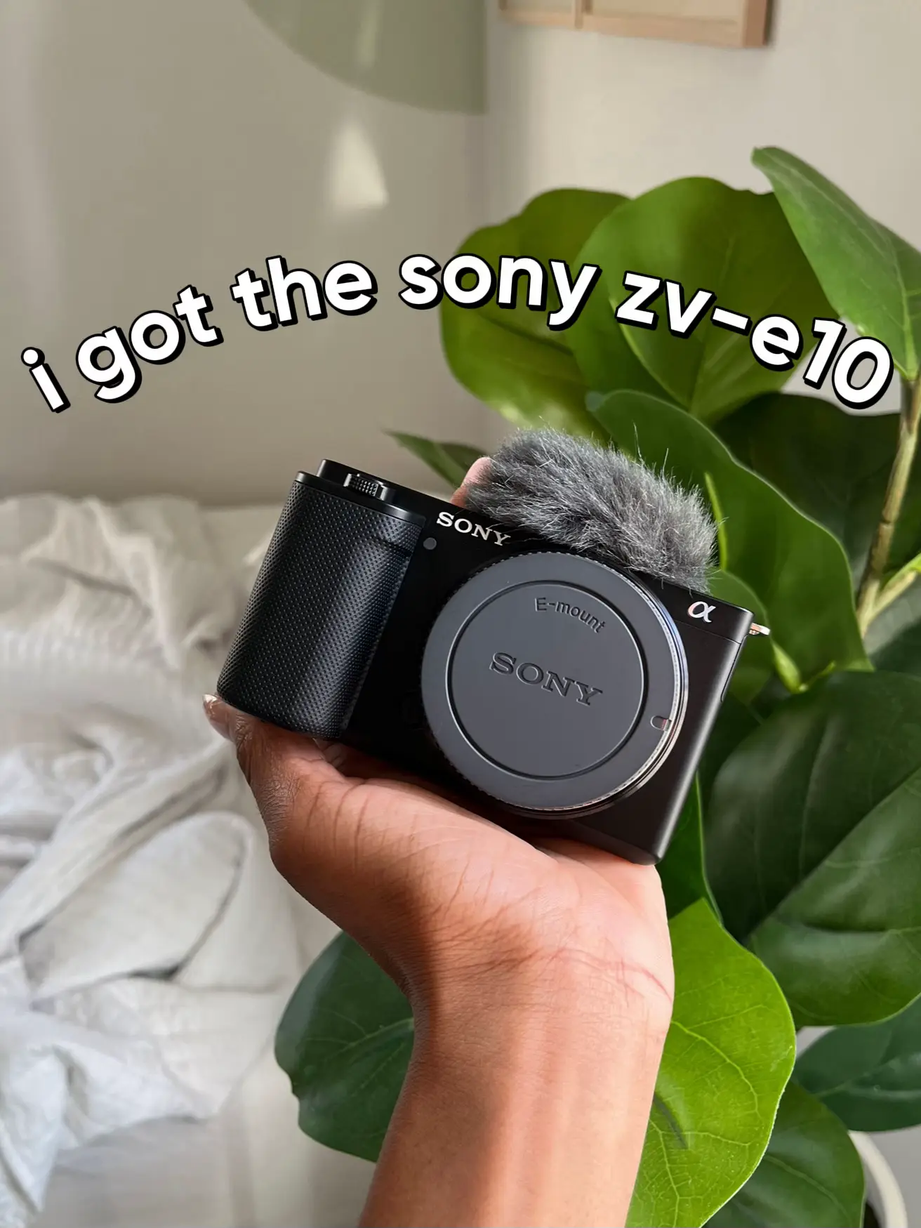 SONY ZVE10 with Sony 50mm 1.8, Photography, Cameras on Carousell