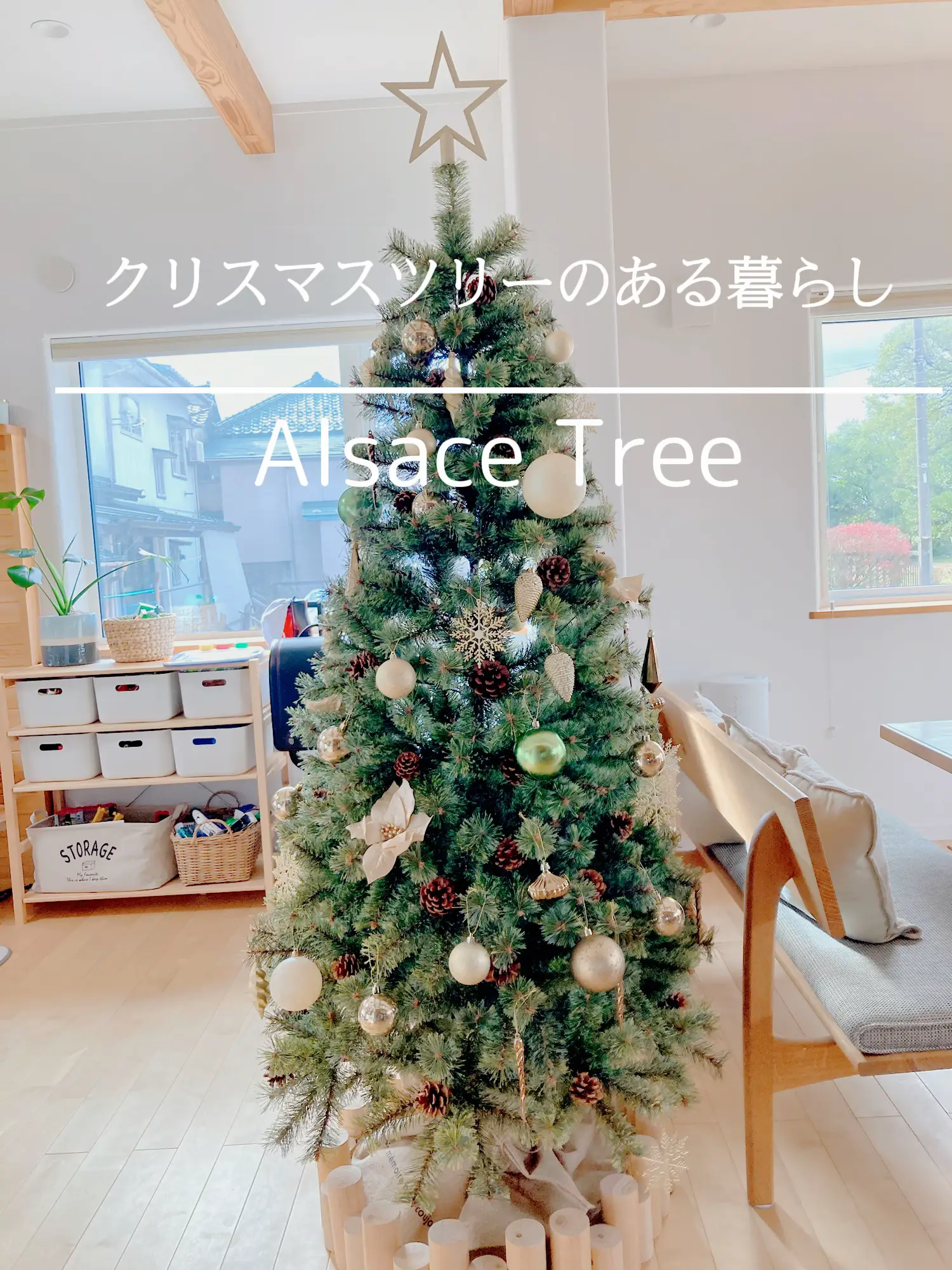 🎄クリスマスツリー出しました🎄 | naaaaaaaが投稿したフォトブック