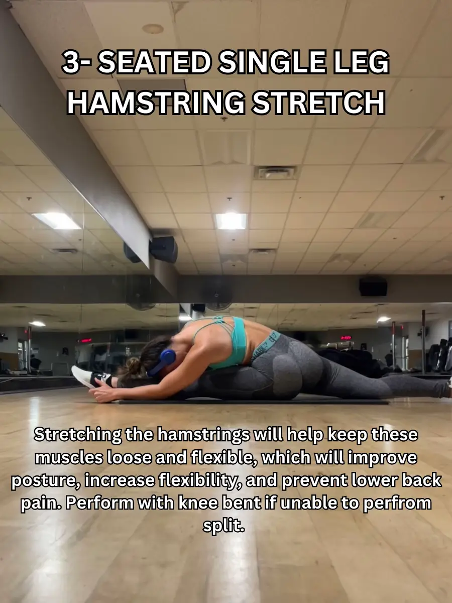  Seated Single Leg Hamstring Stretch