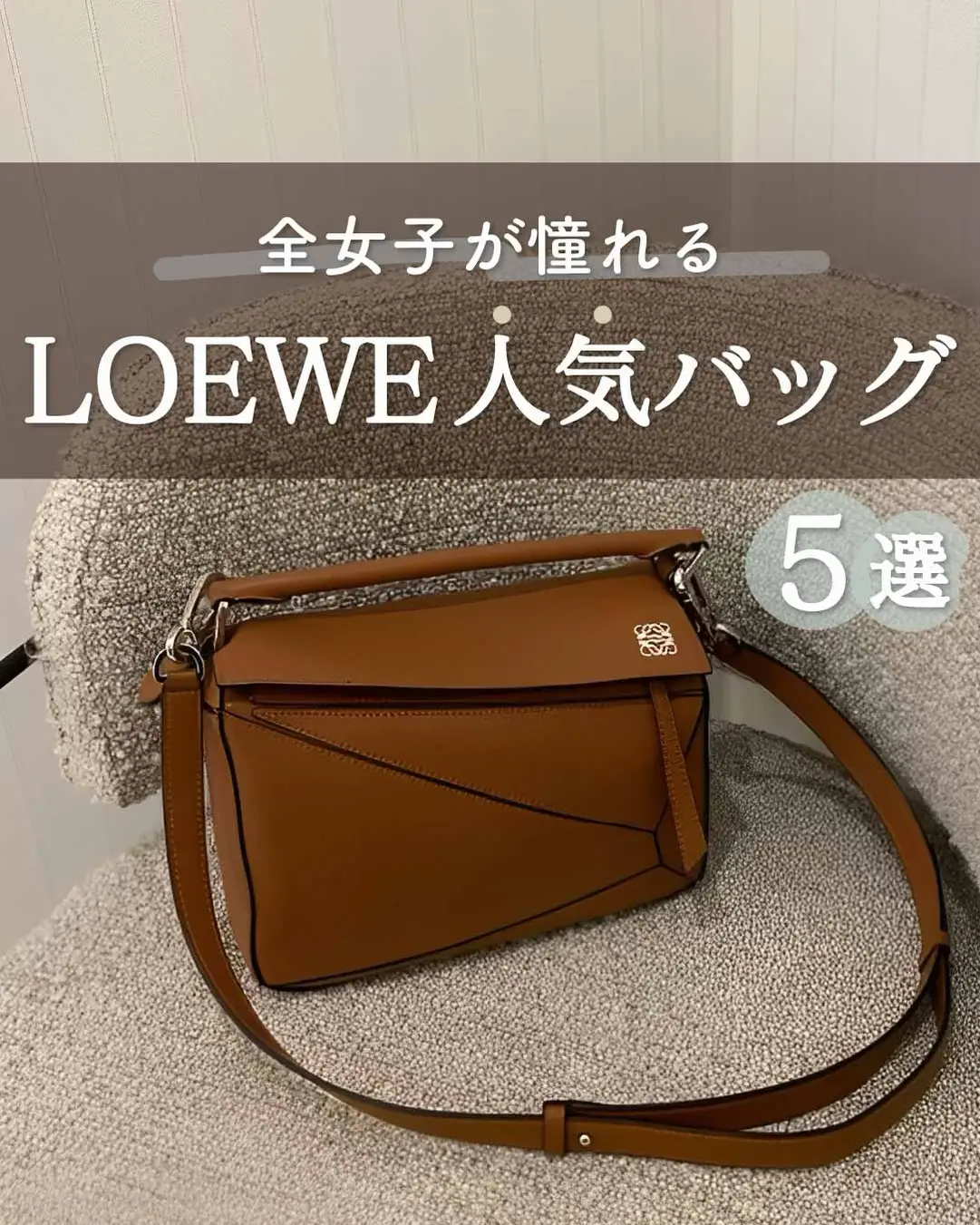 LOEWE ロエベ マイクロミニ ポーチ アナグラム キーチェーン - 小物