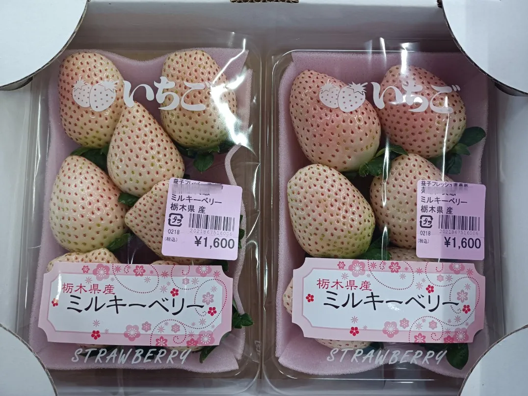 栃木県】4種類のあま～いイチゴが購入できる直売所☆ | ベリーちゃんが投稿したフォトブック | Lemon8