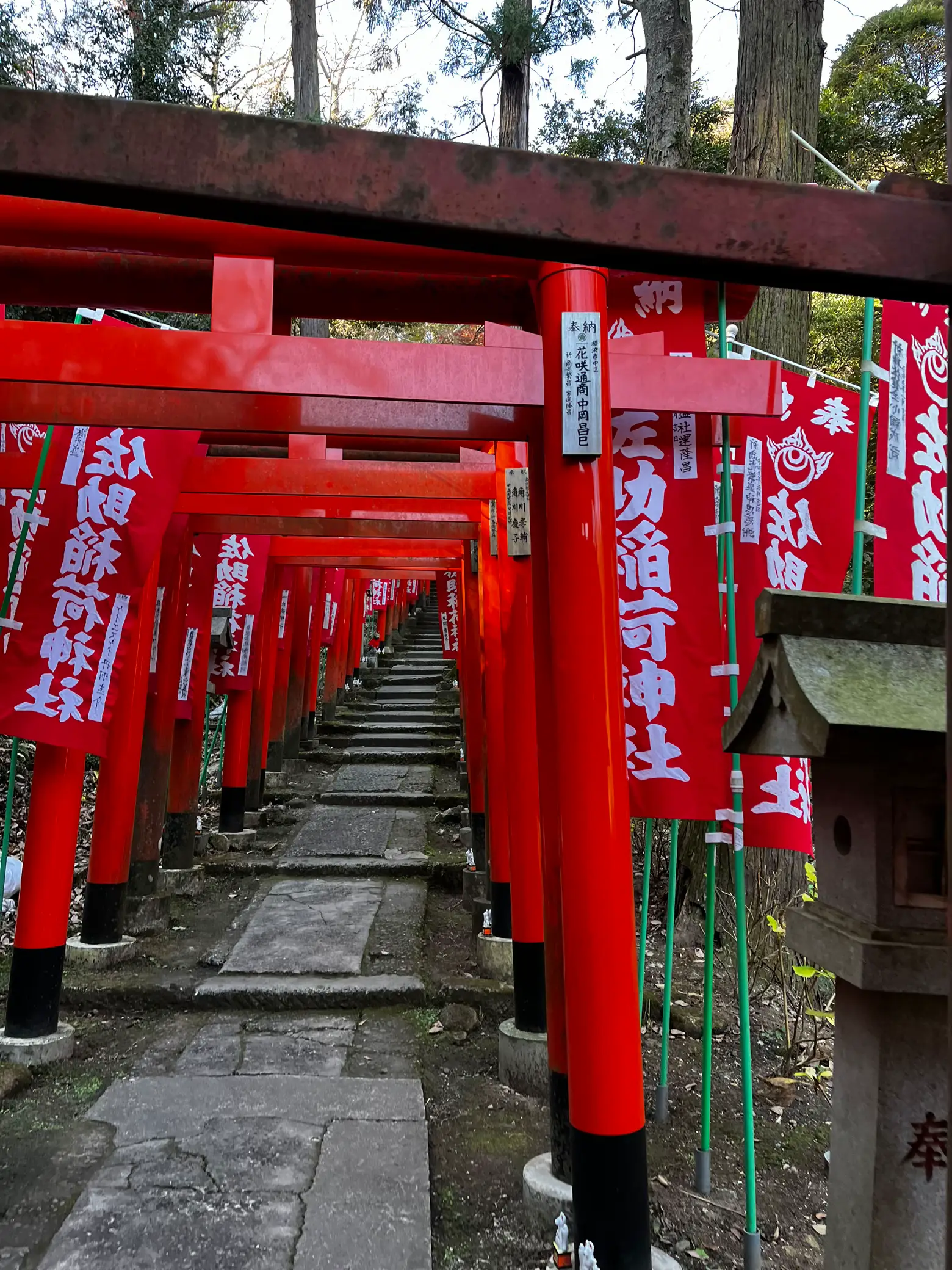 佐助稲荷神社 鎌倉 | ママさんが投稿したフォトブック | Lemon8