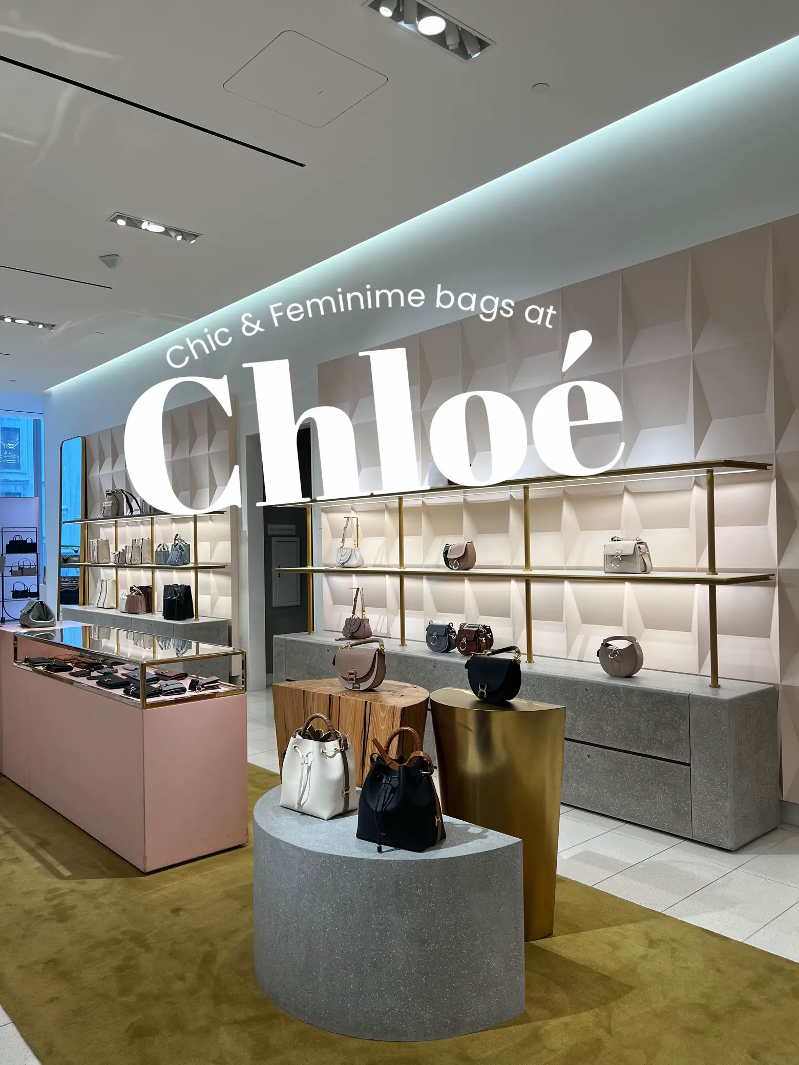 TJ Maxx Luxury Brands Shop With Me - Longchamp Fendi Chloe 