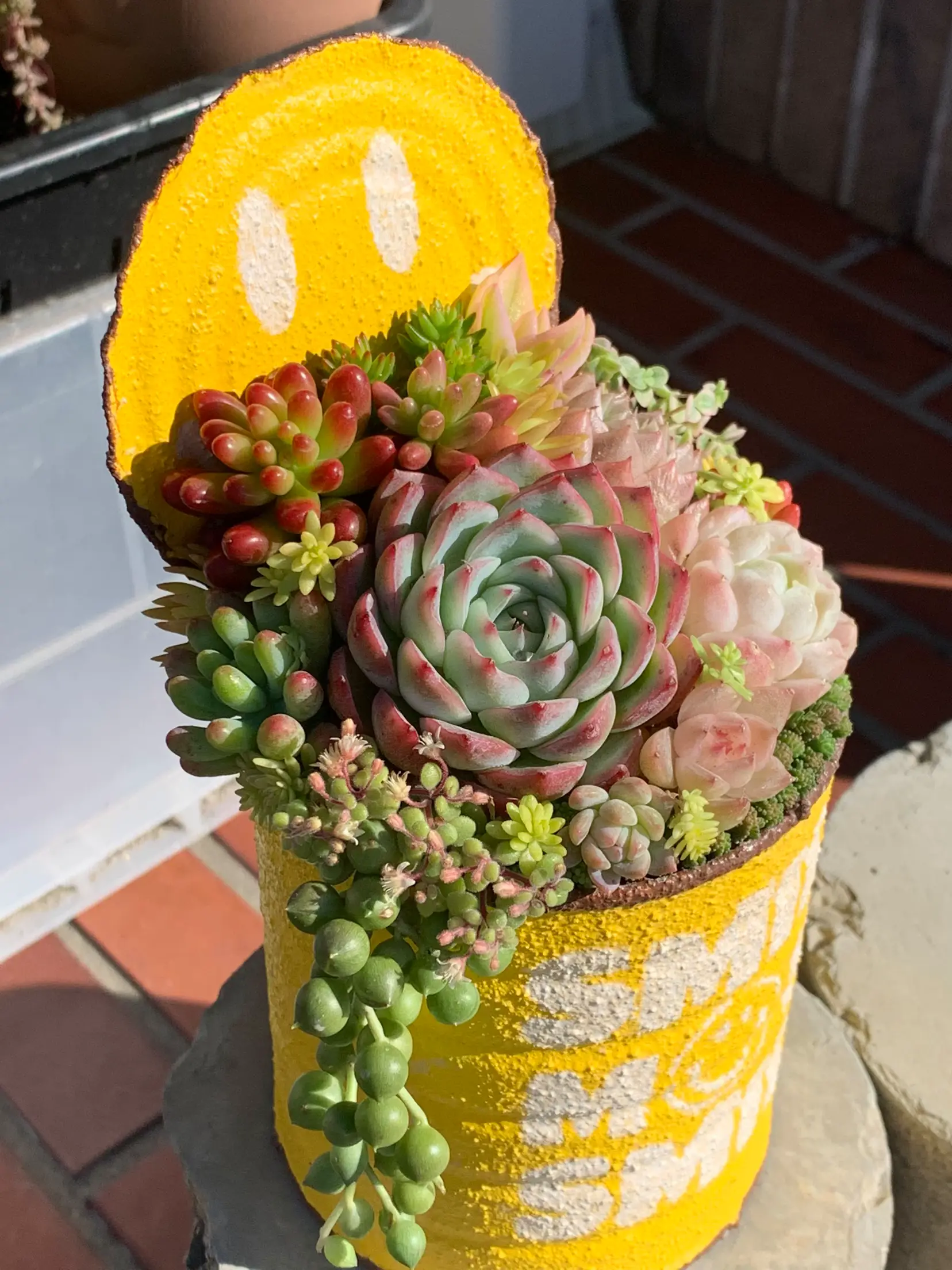 リメ缶 ʕ•ᴥ•ʔ ピック付き 多肉植物 セダム 寄せ植え リメ鉢 リメイク