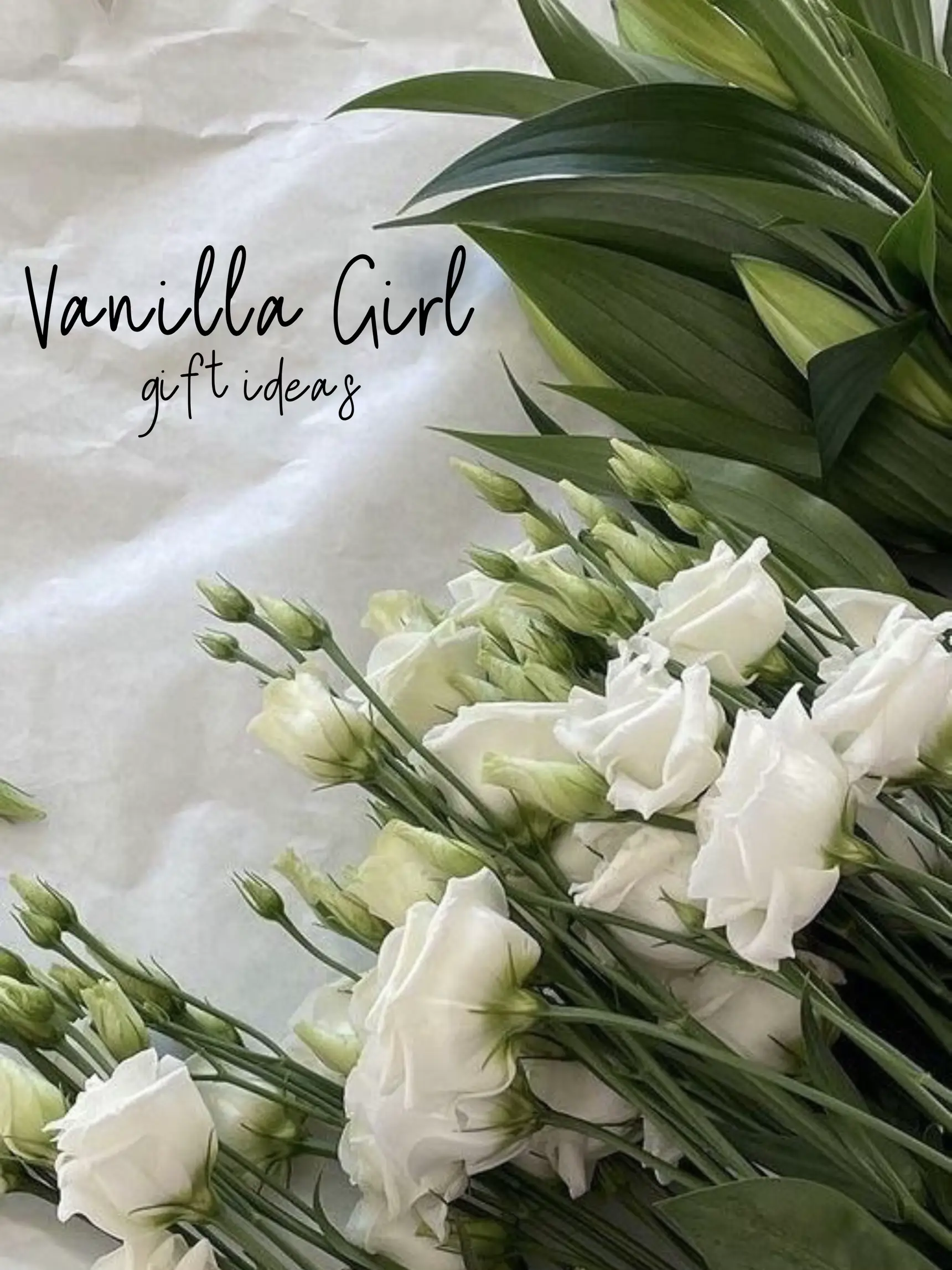 Vanilla Girl Gift Ideas! 🤍💡