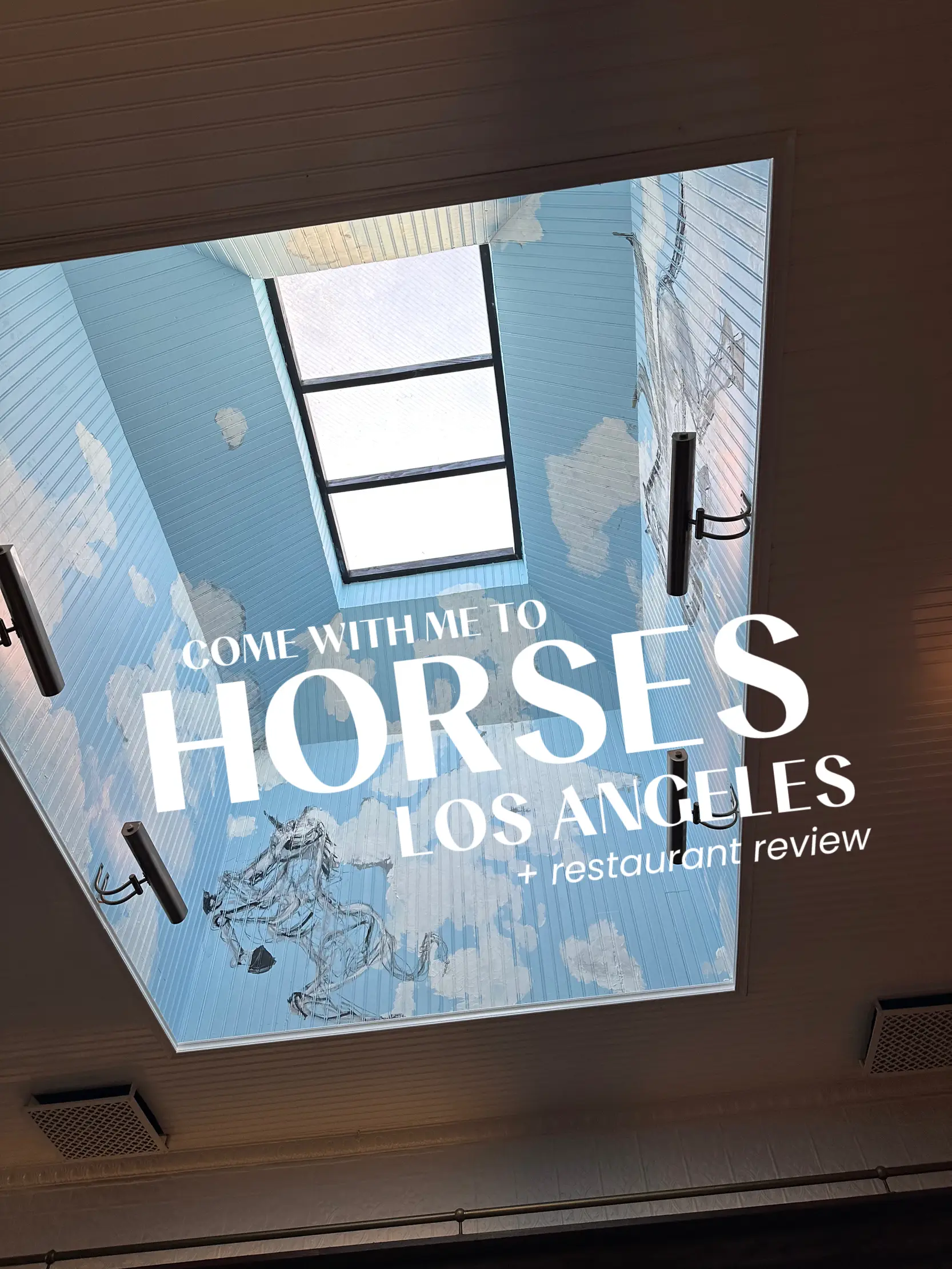 Horses 🐎 Los Angeles Review 's images