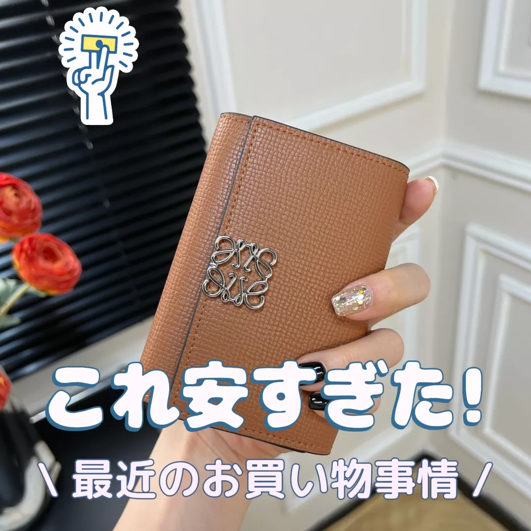 日本限定”ウォレットが登場！ エディターが「ロエベ」の財布を支持する理由｜ファッション｜ELLE［エル デジタル］