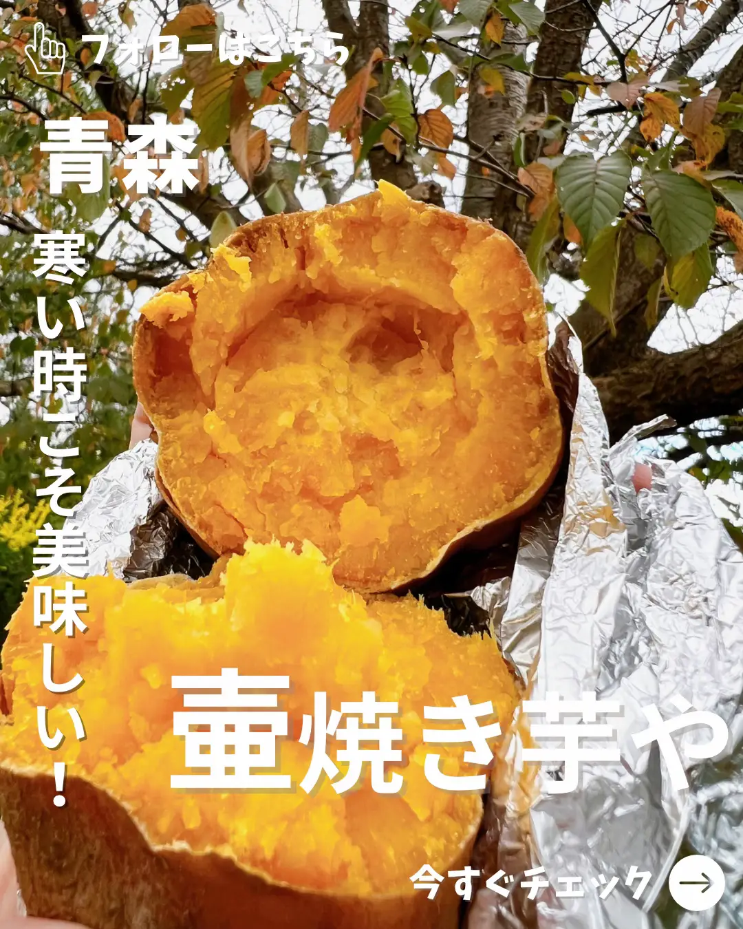 青森市 『壷焼き芋や』 | umihiro_aomoriが投稿したフォトブック | Lemon8