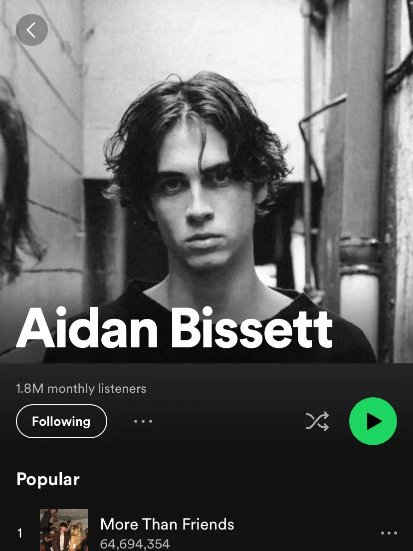  A man with long brown hair is playing the song "More Than Friends" by Aidan Bissett.