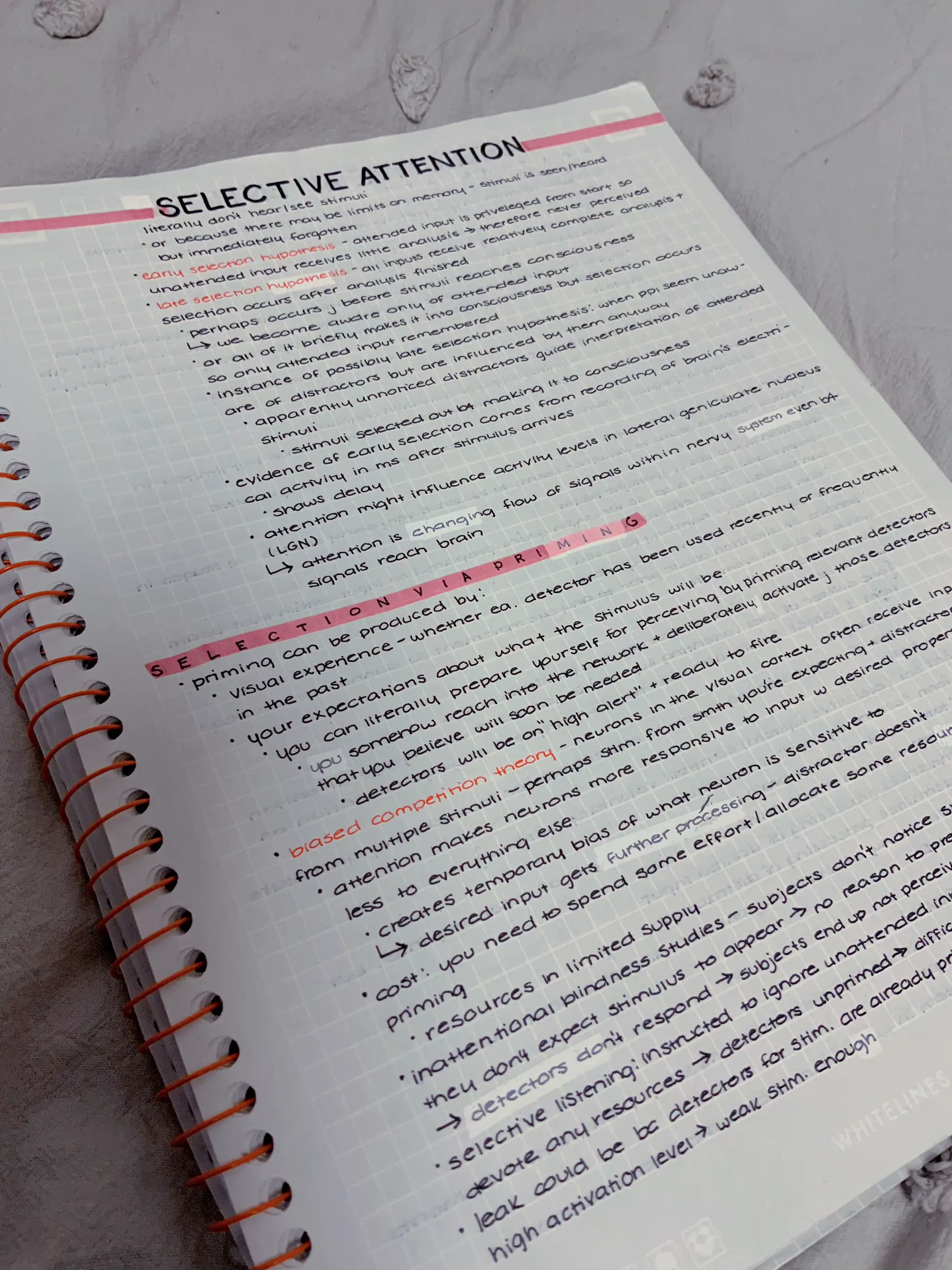 Pretty Aesthetic Notes for School
