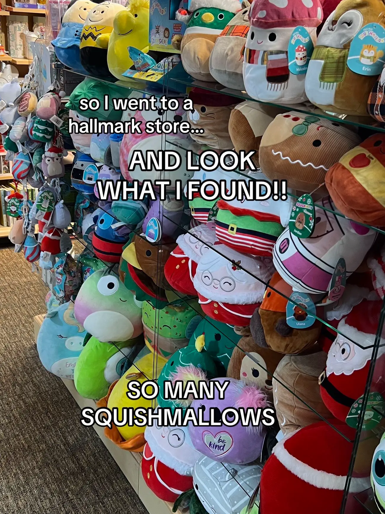 Spotted all of these cuties at a Walmart near me 😍 : r/squishmallow