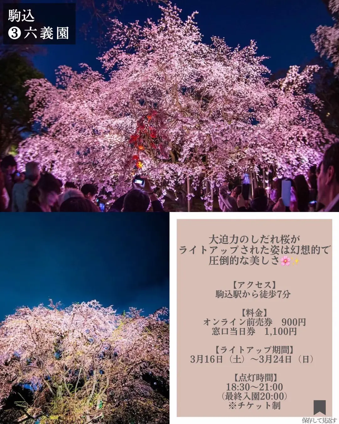 2024年の夜桜デートコーデのアイデア20選