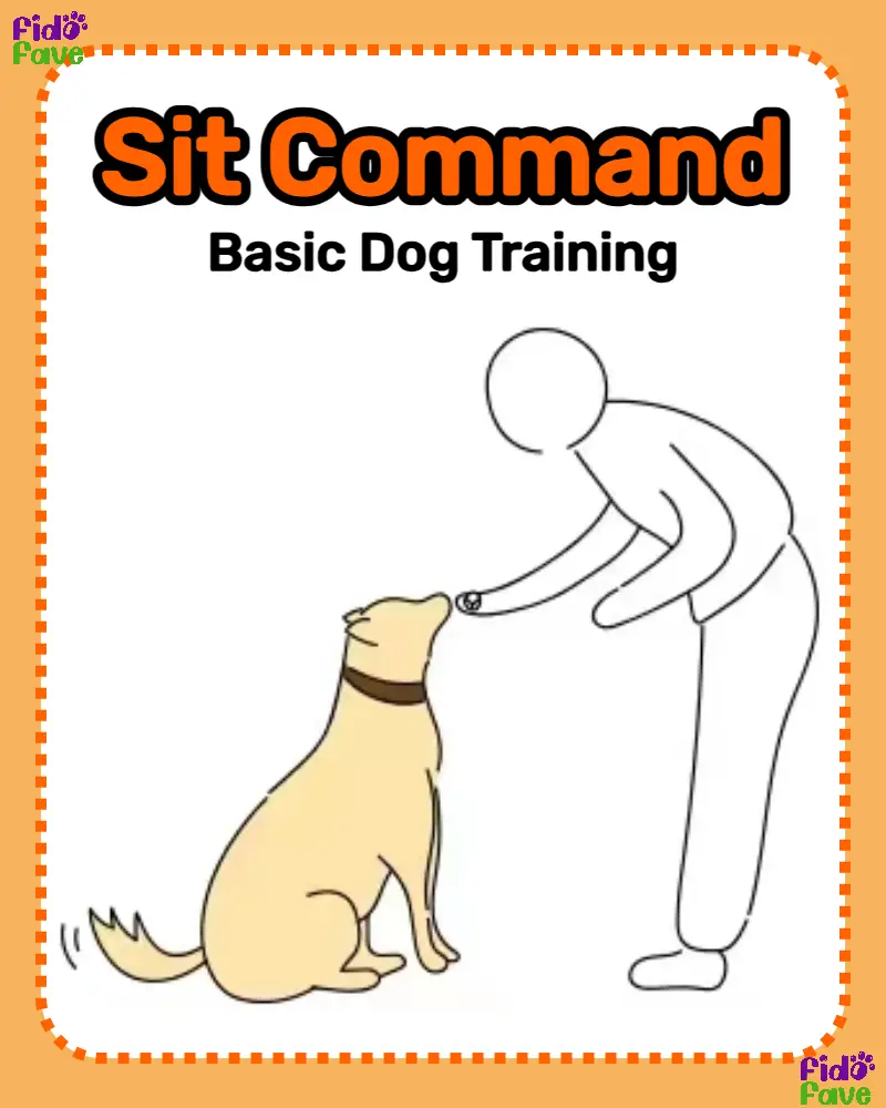 Fido 2024 dog training