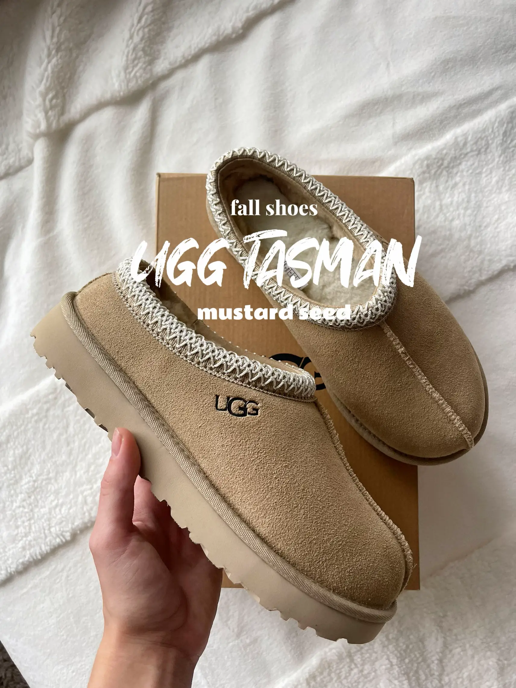 UGG TASMAN IN MUSTARD SEED      | sid!が投稿したフォトブック | Lemon8