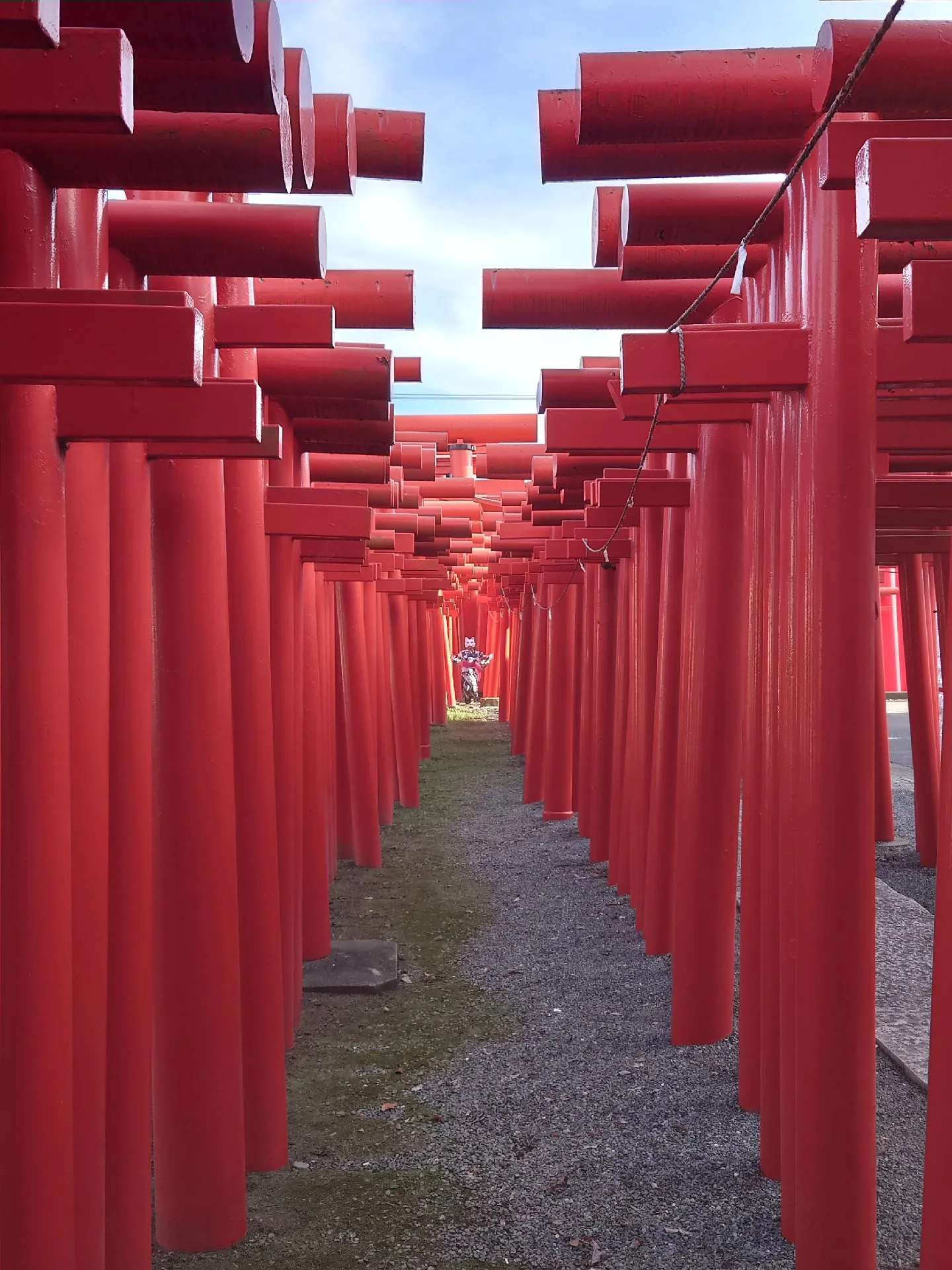 連なる鳥居のパワースポット ⛩️ 県内一の大鳥居、秋はコスモスも | Rie _ / camera旅が投稿したフォトブック | Lemon8