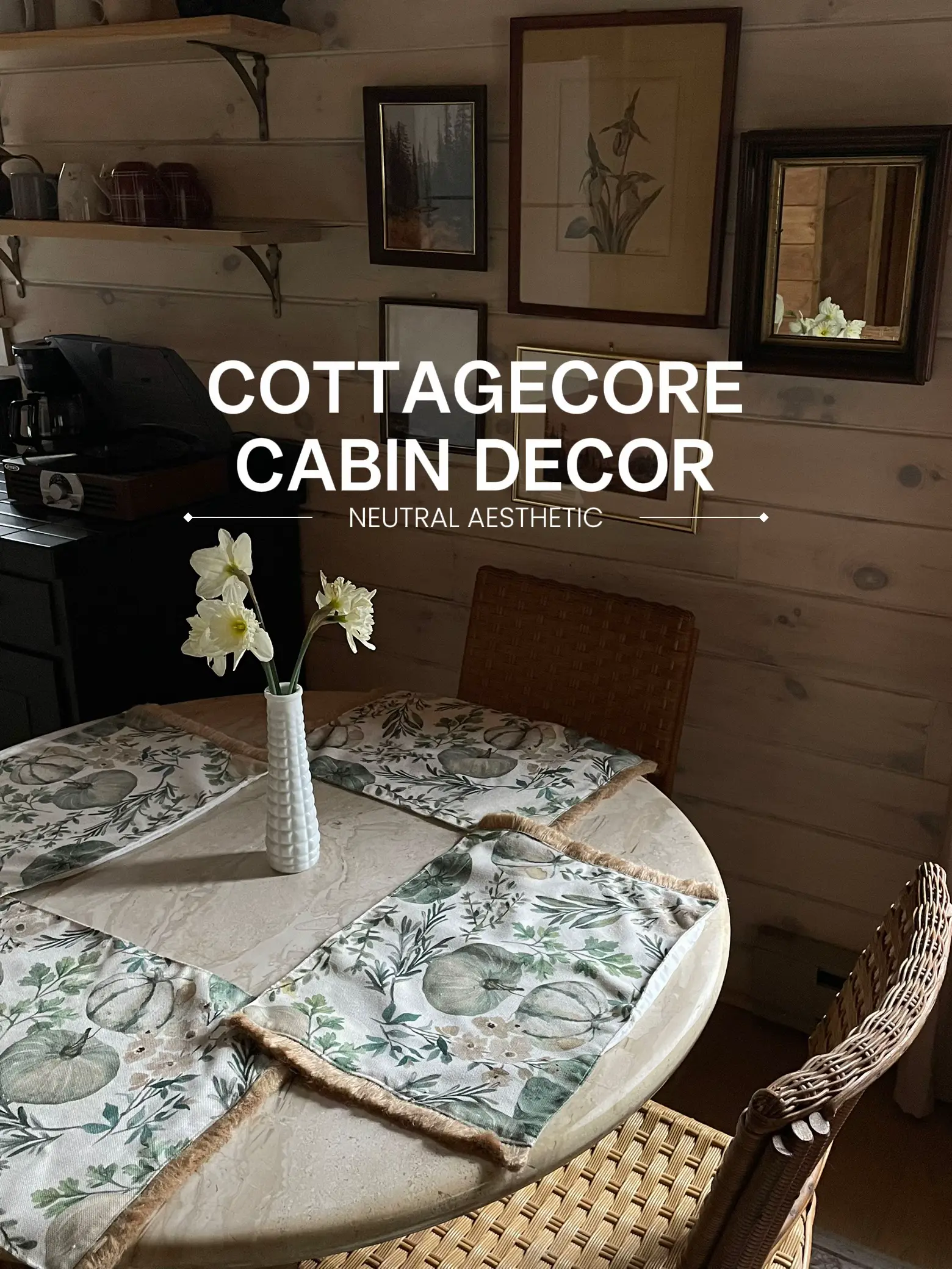 Cabin Theme Decor