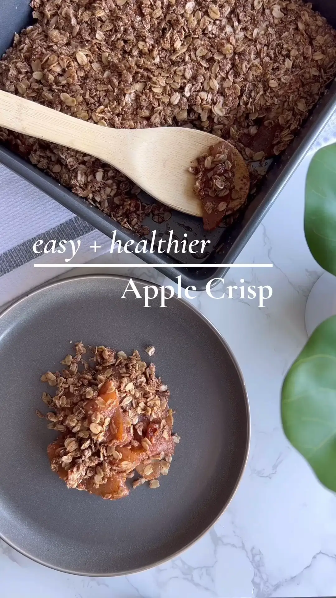 Oatmeal Apple Crisp (Perfect for Fall!) - Chef Savvy