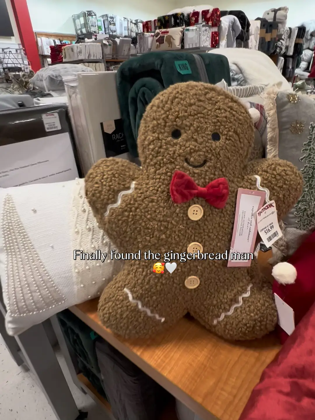 Interactive Gingerbread House Pillow - Sew What, Alicia?