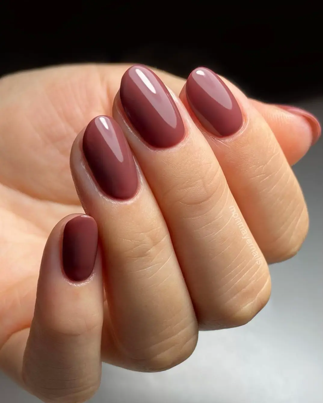 November shop nail colors