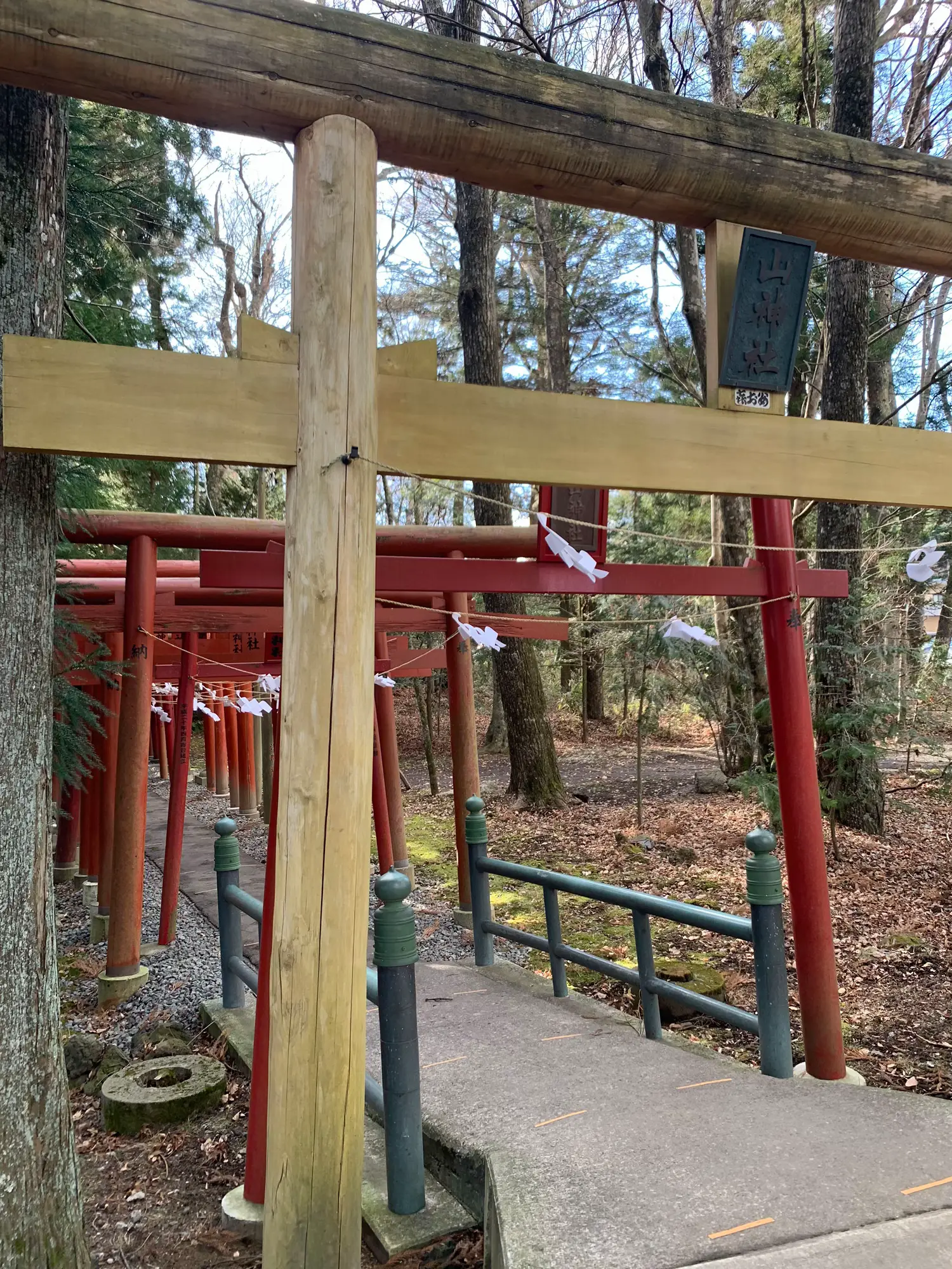 絶対金運アップ！！【新屋山神社】と【富士御室浅間神社】の金運カード