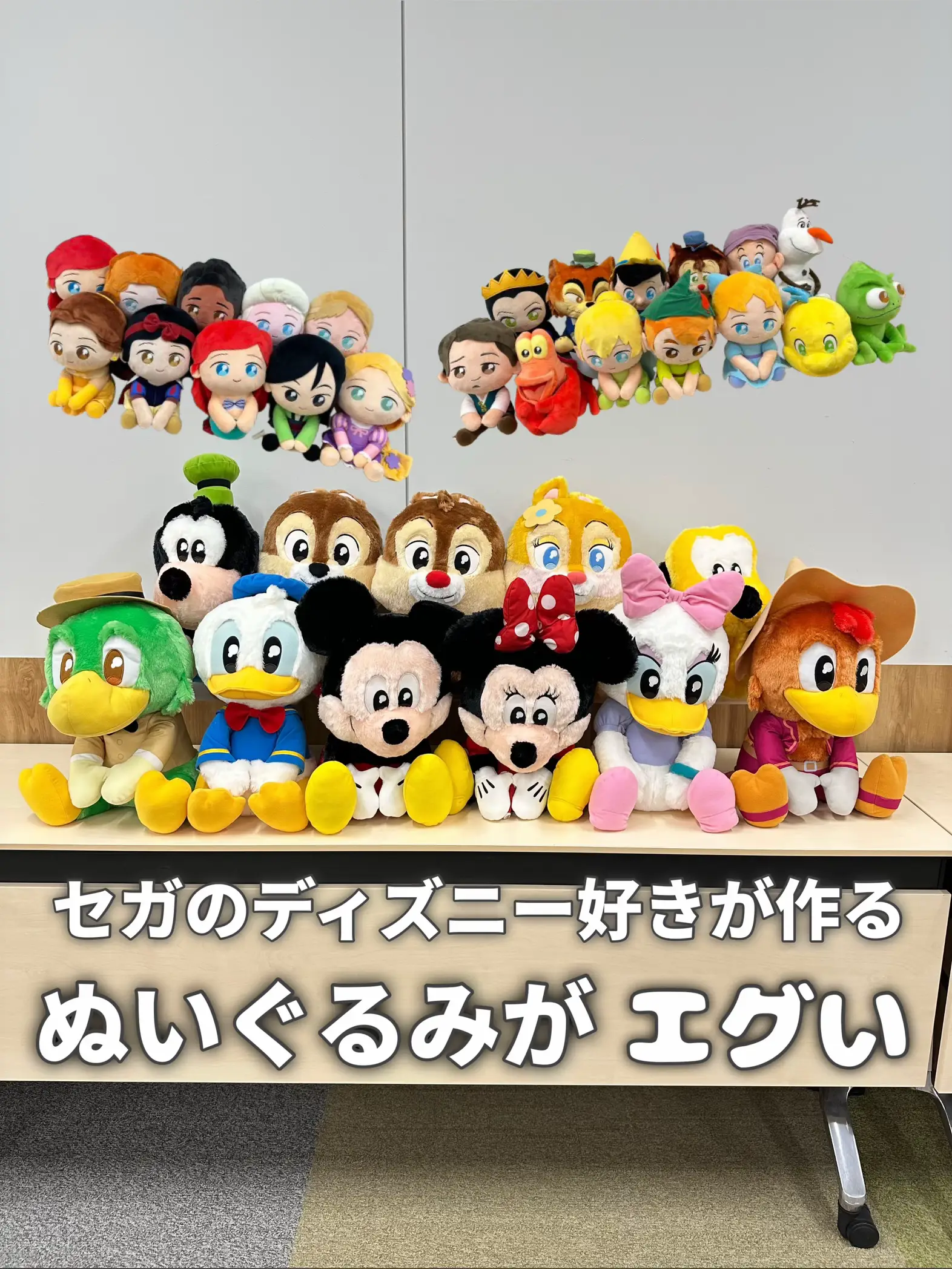 ターコ様専用SSぬいぐるみ コス付き