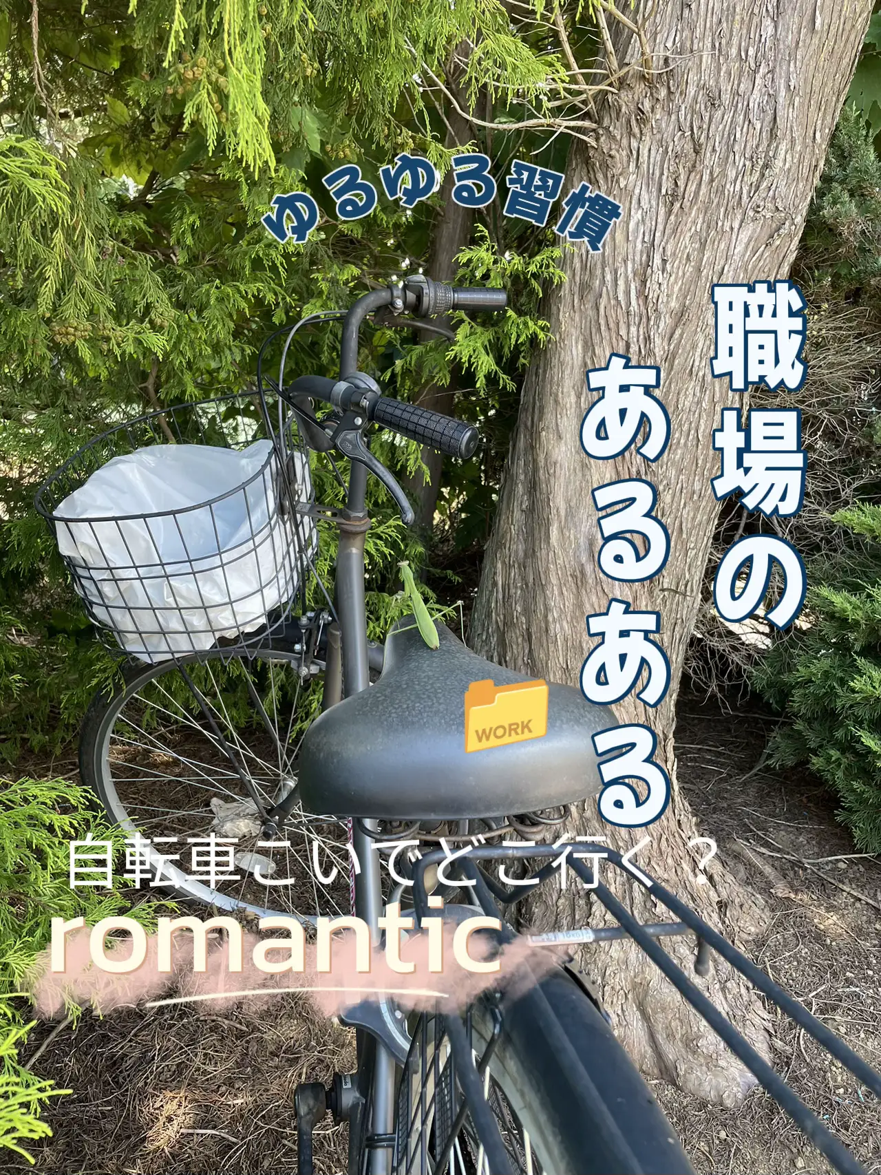 自転車でどっか行こうよ✨ | 22kobitoが投稿したフォトブック | Lemon8