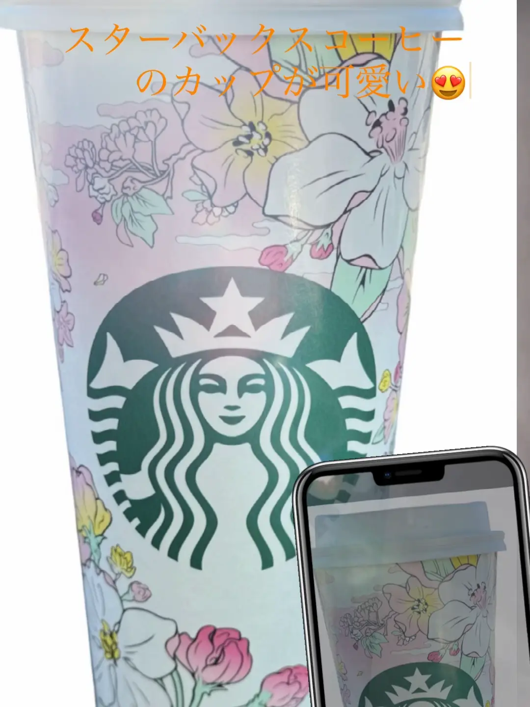 4つセット ミニベアリスタ デミタス セット 日本未発売