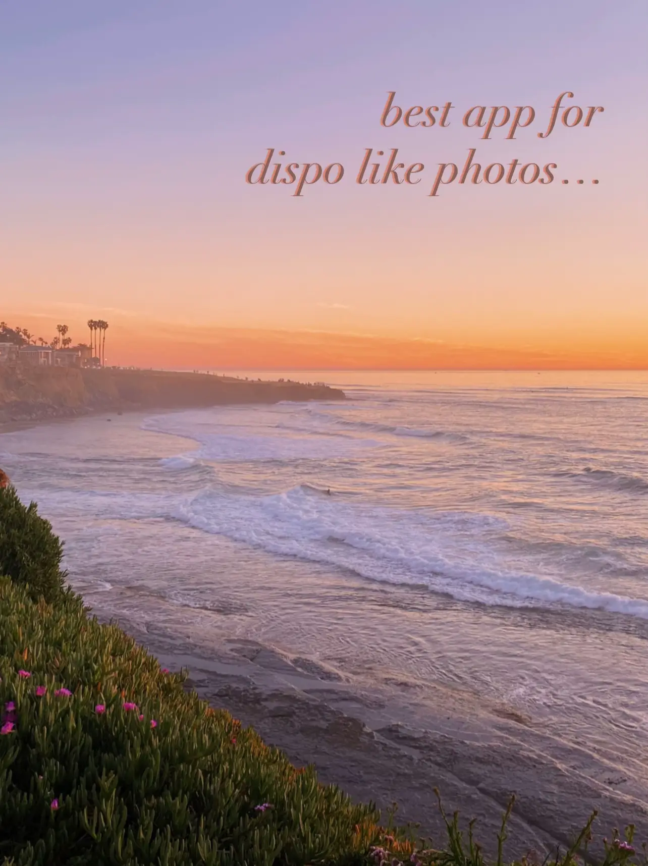 the best app ever for dispo photos🫶🏻🫶🏻 Gallery posted by bradie coles