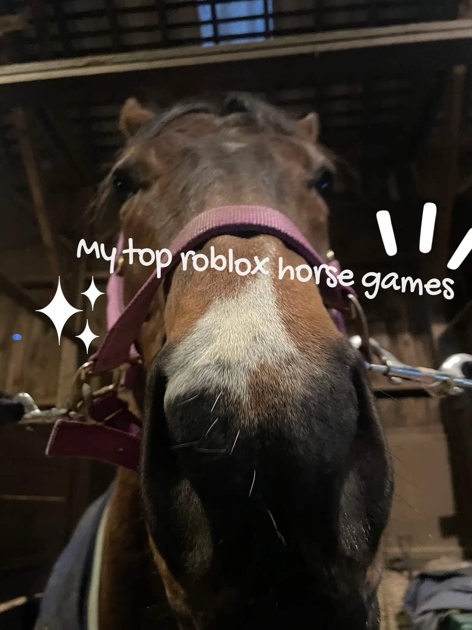 Tips for Horse Life on Roblox - Lemon8 Search