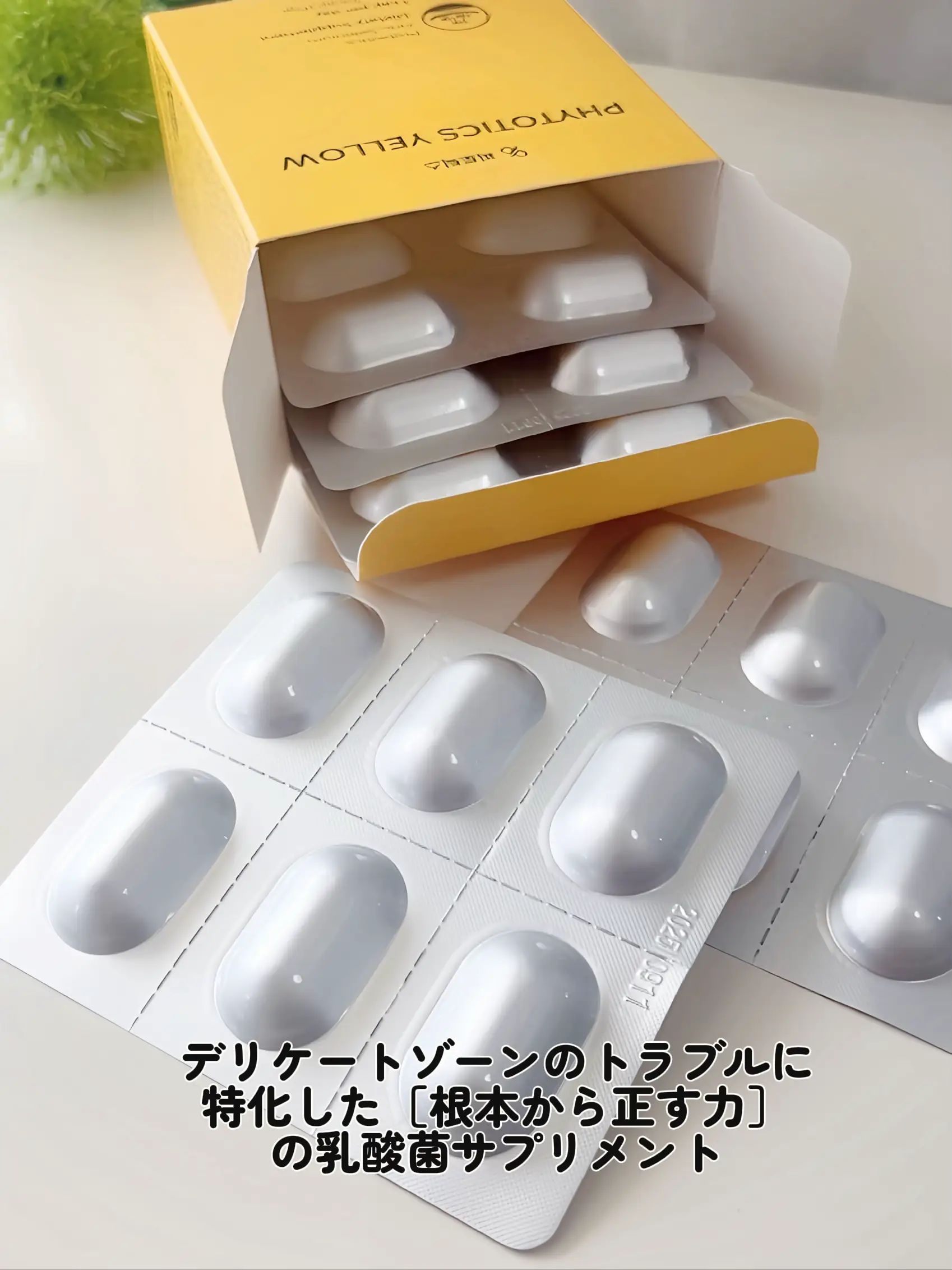 ネイチャーカン CBNオイル ソフトジェルカプセル 50mg 120 ネイチャーカン CBNオイル ソフトジェルカプセル 50mg 120