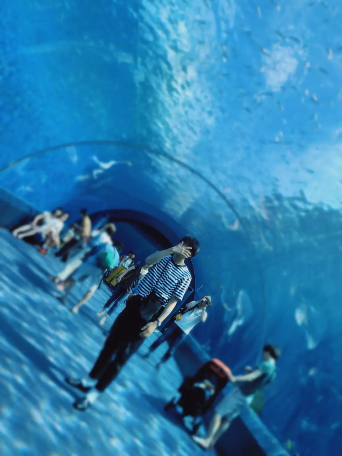 暑い夏は水族館で涼みませんか？まる1日楽しめる八景島シーパラダイス🐠    【神奈川県】 | ななせ  おでかけ大好きOLが投稿したフォトブック |  Lemon8