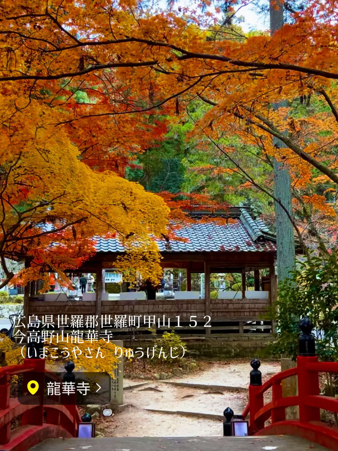 【広島】🌸桜と🍁紅葉で有名な歴史ある隠れたスポット「今高野山龍華寺」の画像 (1枚目)
