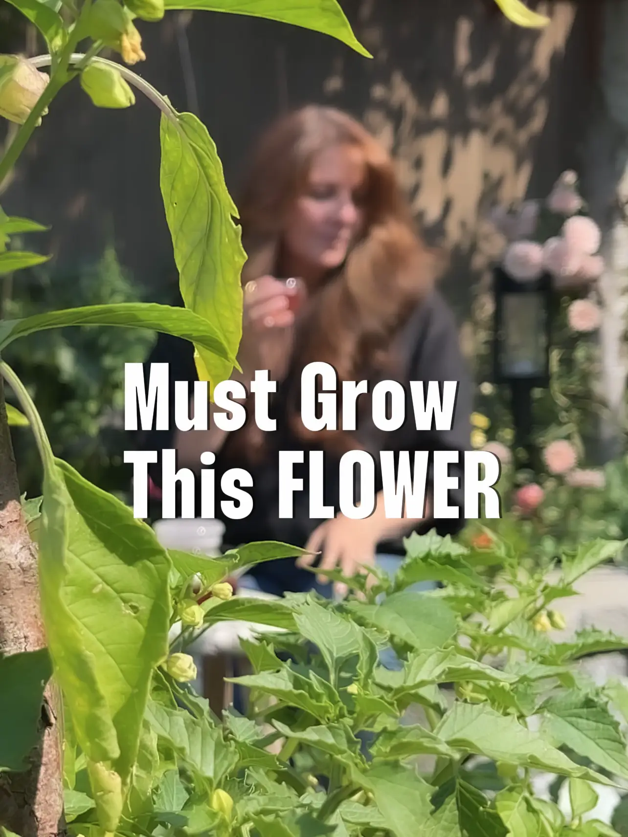 How to Plant an Herb Garden - Danielle Moss