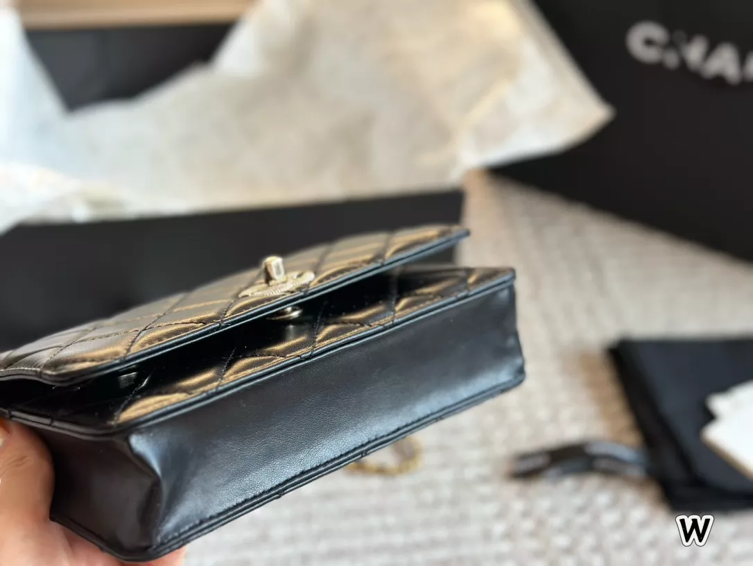 Chanel 24ss新作 完売必至 chanel20 ミニ ハンドバッグ | 木村 順子が  