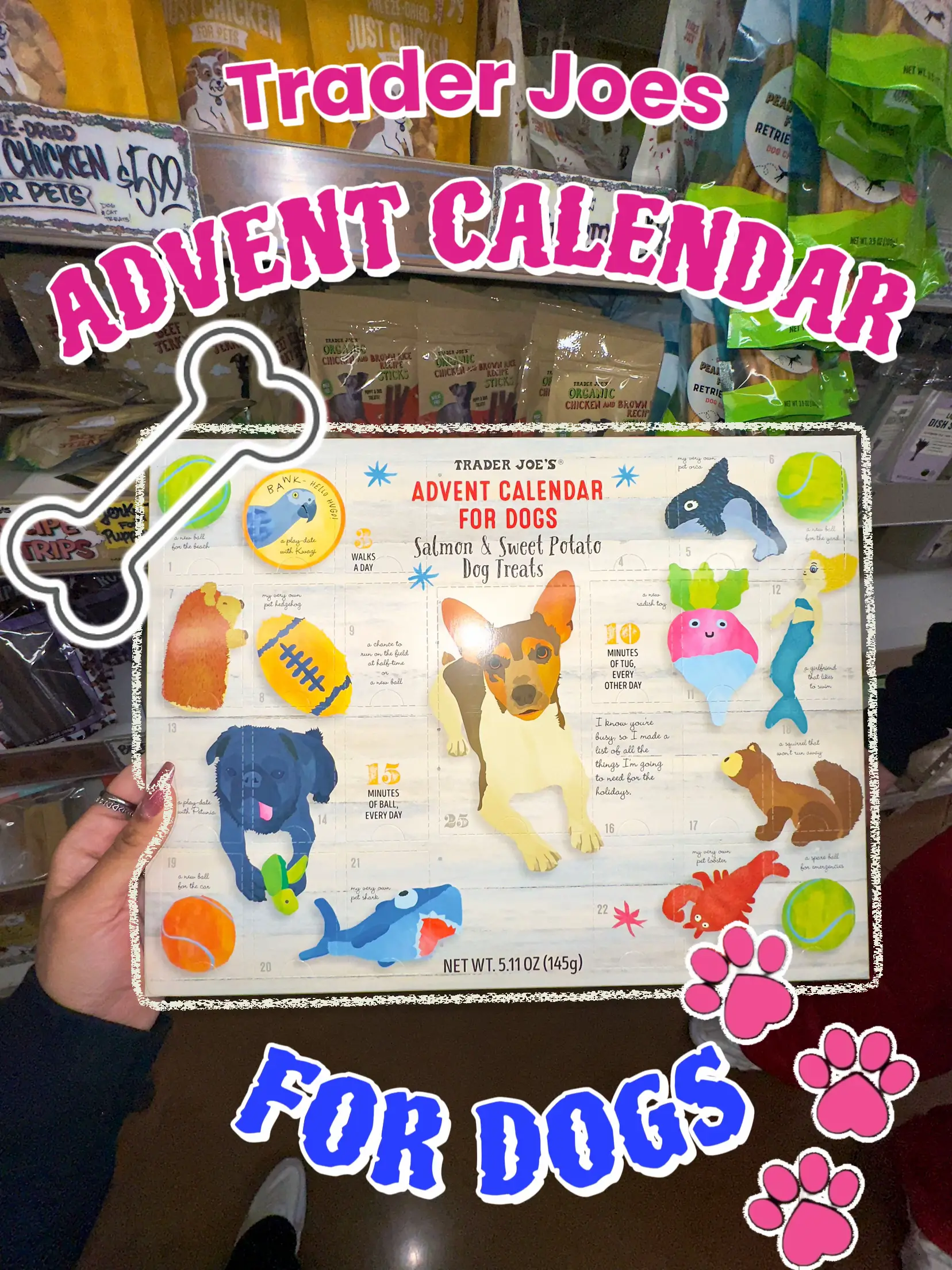 Trader joe's advent top calendar dog